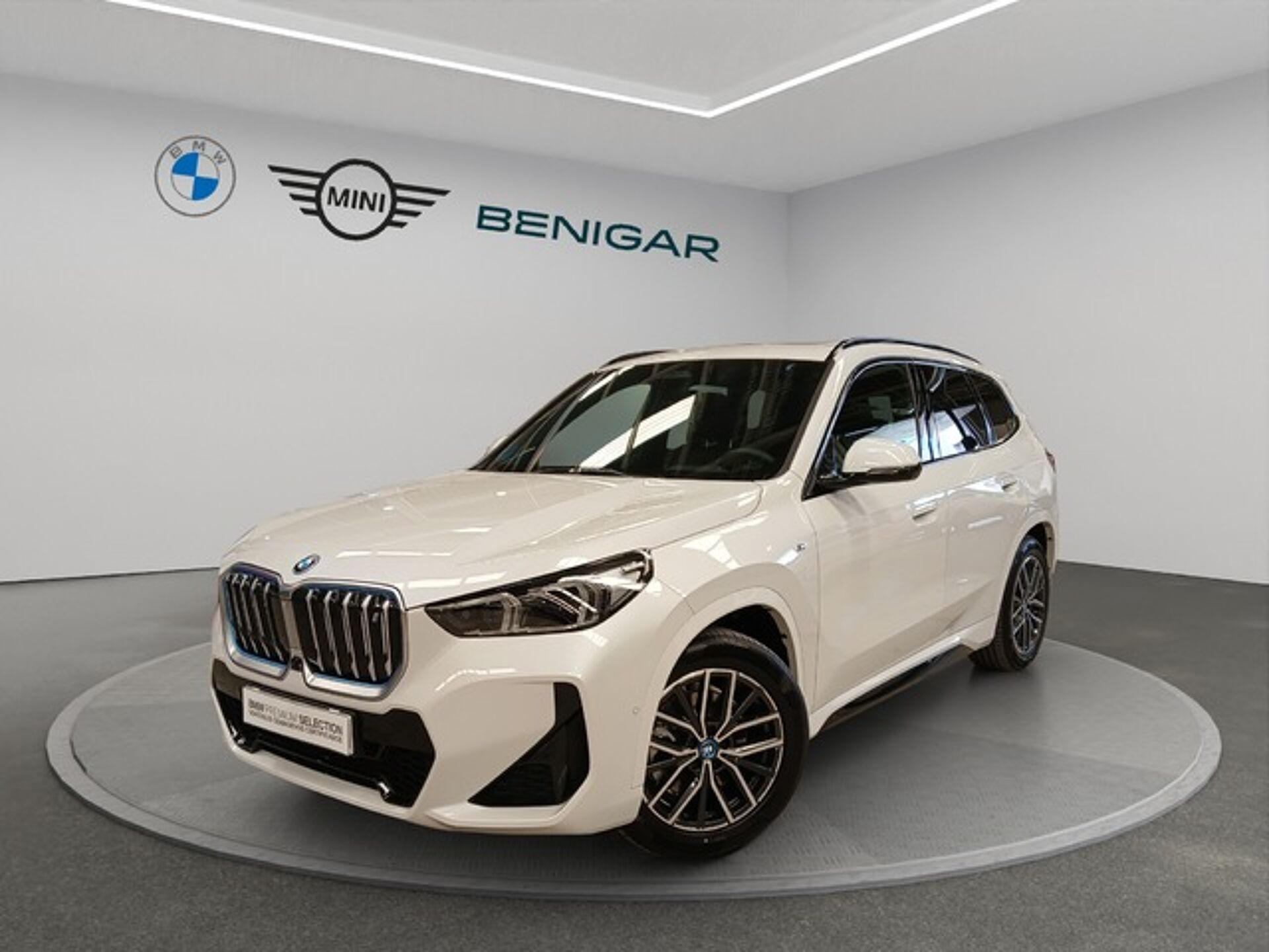 Imagen de BMW iX