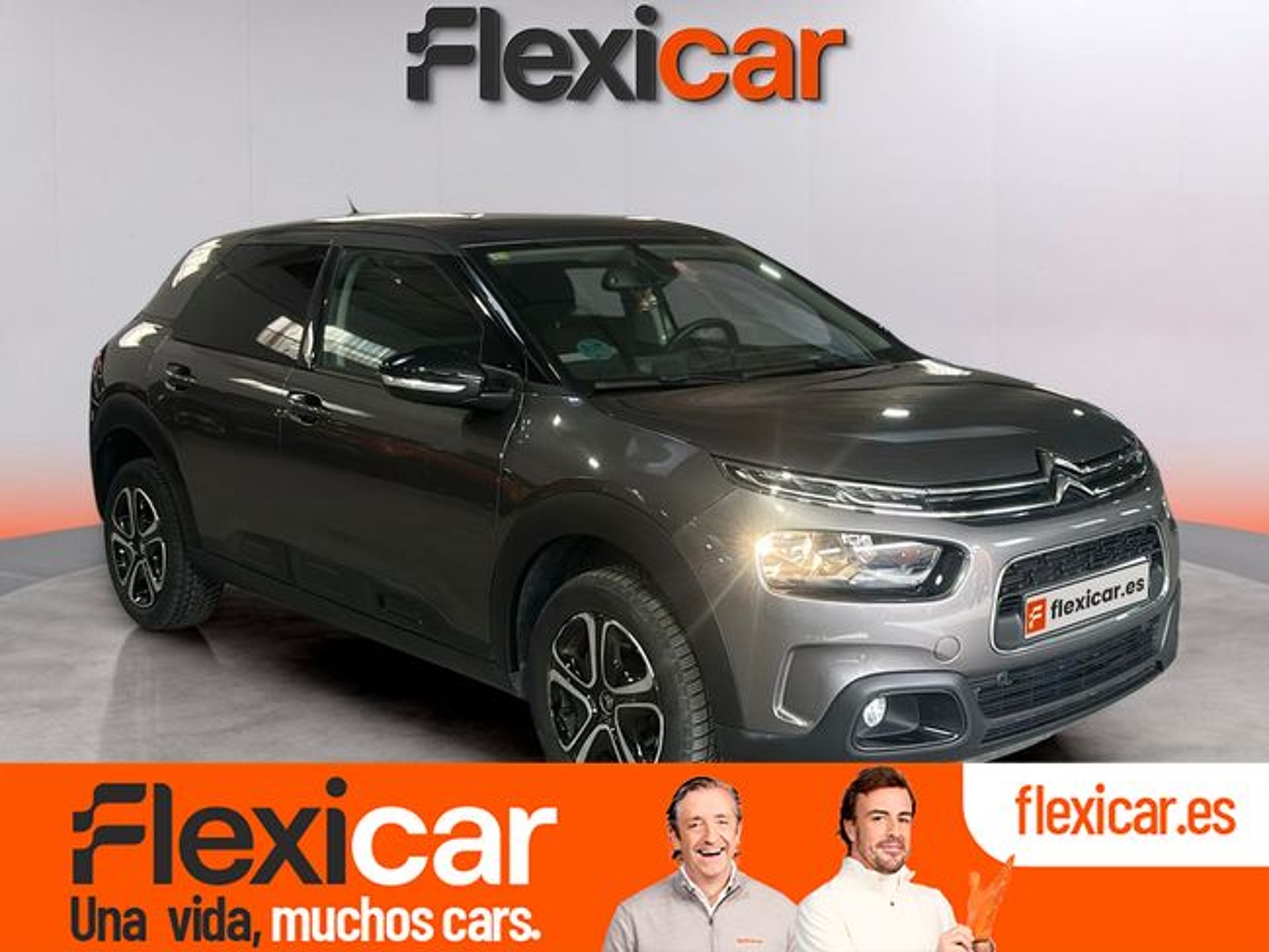 Imagen de CITROEN C4 Cactus