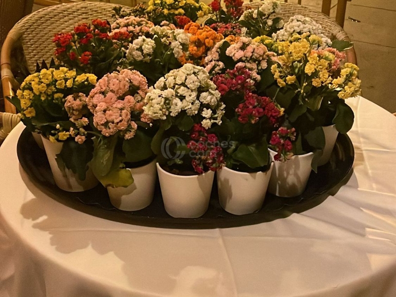 Foto del RENAULT Zoe Zen R240 65kW