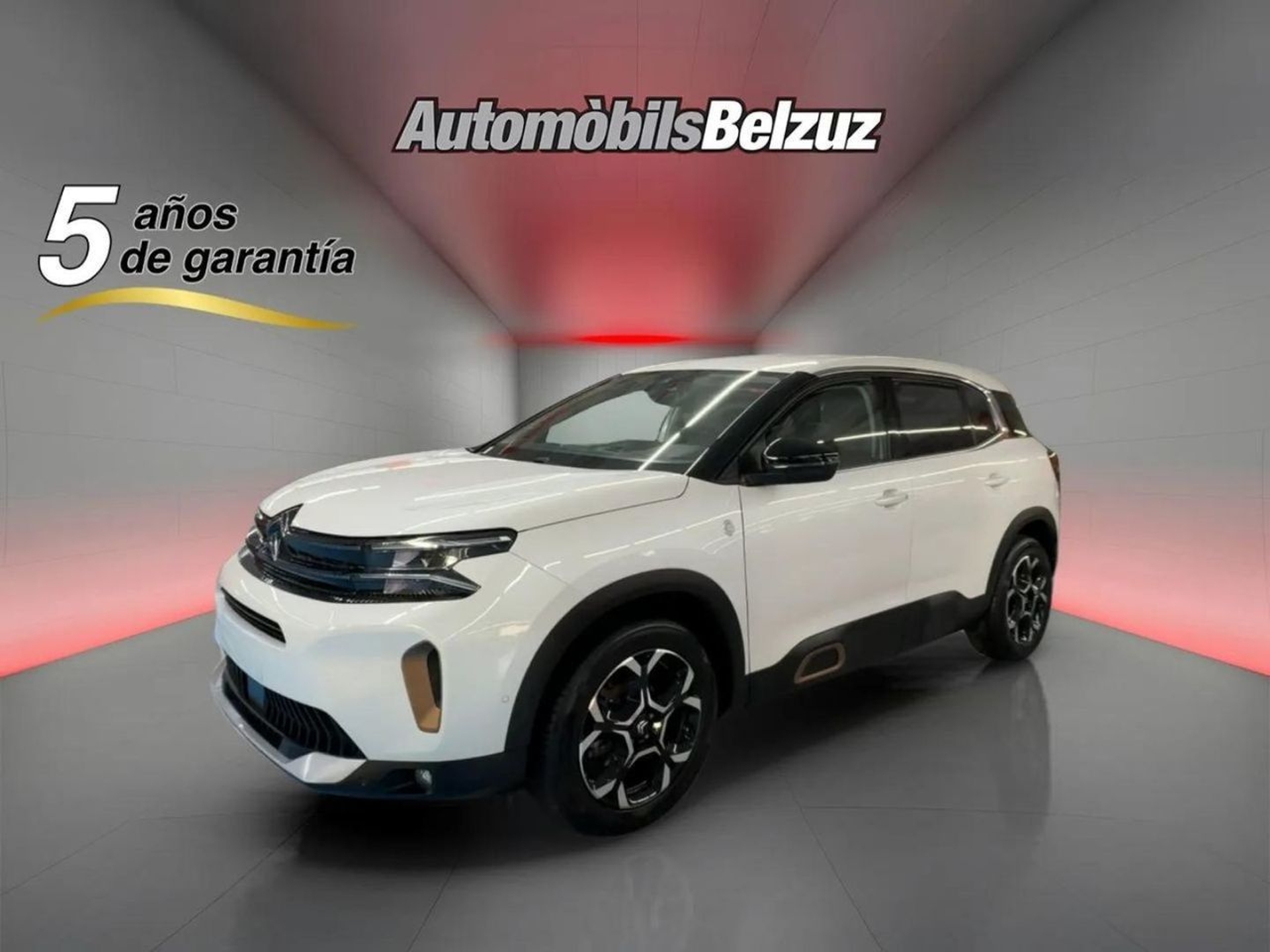 Imagen de CITROEN C5 Aircross