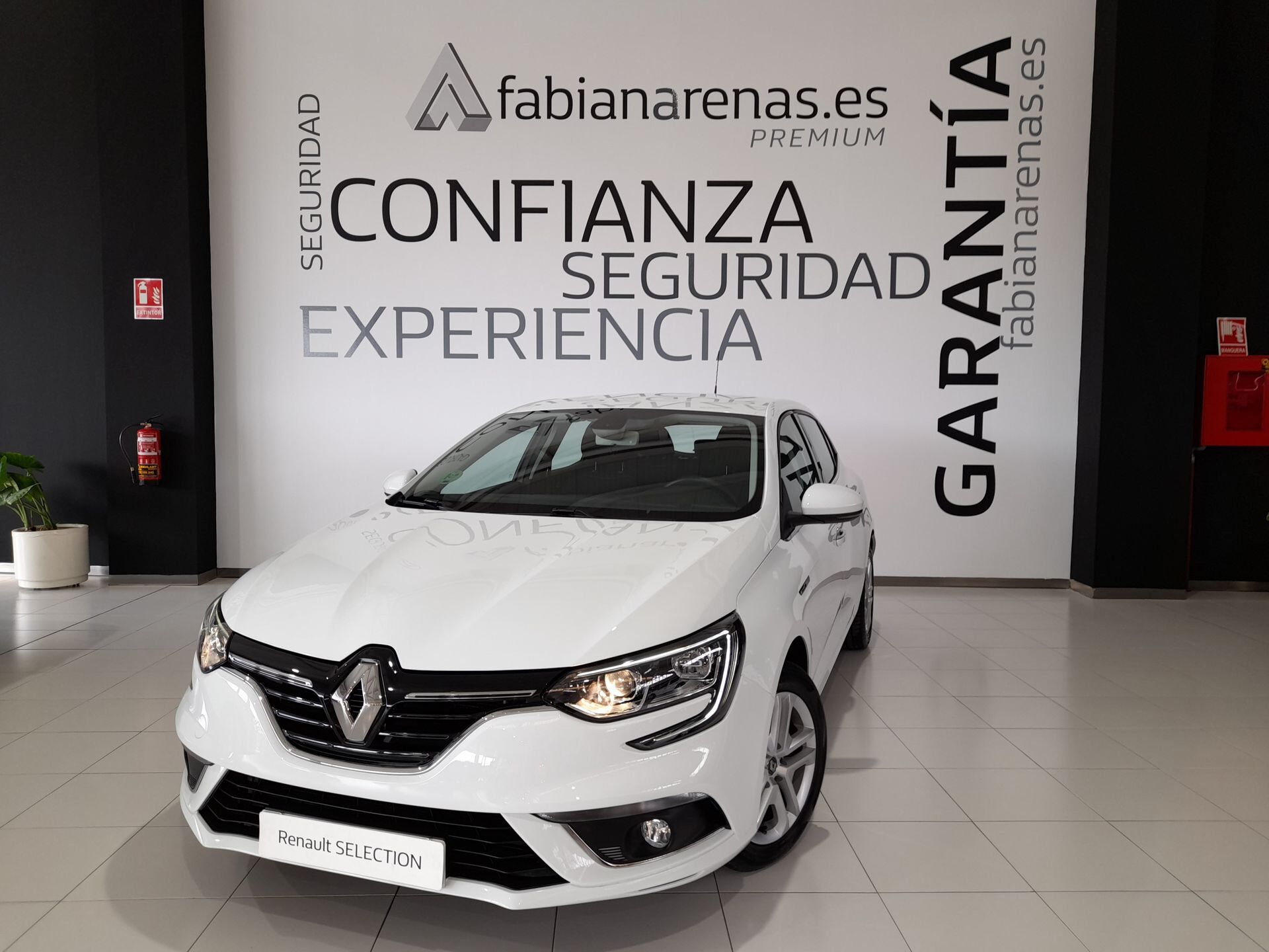 Imagen de RENAULT Mégane
