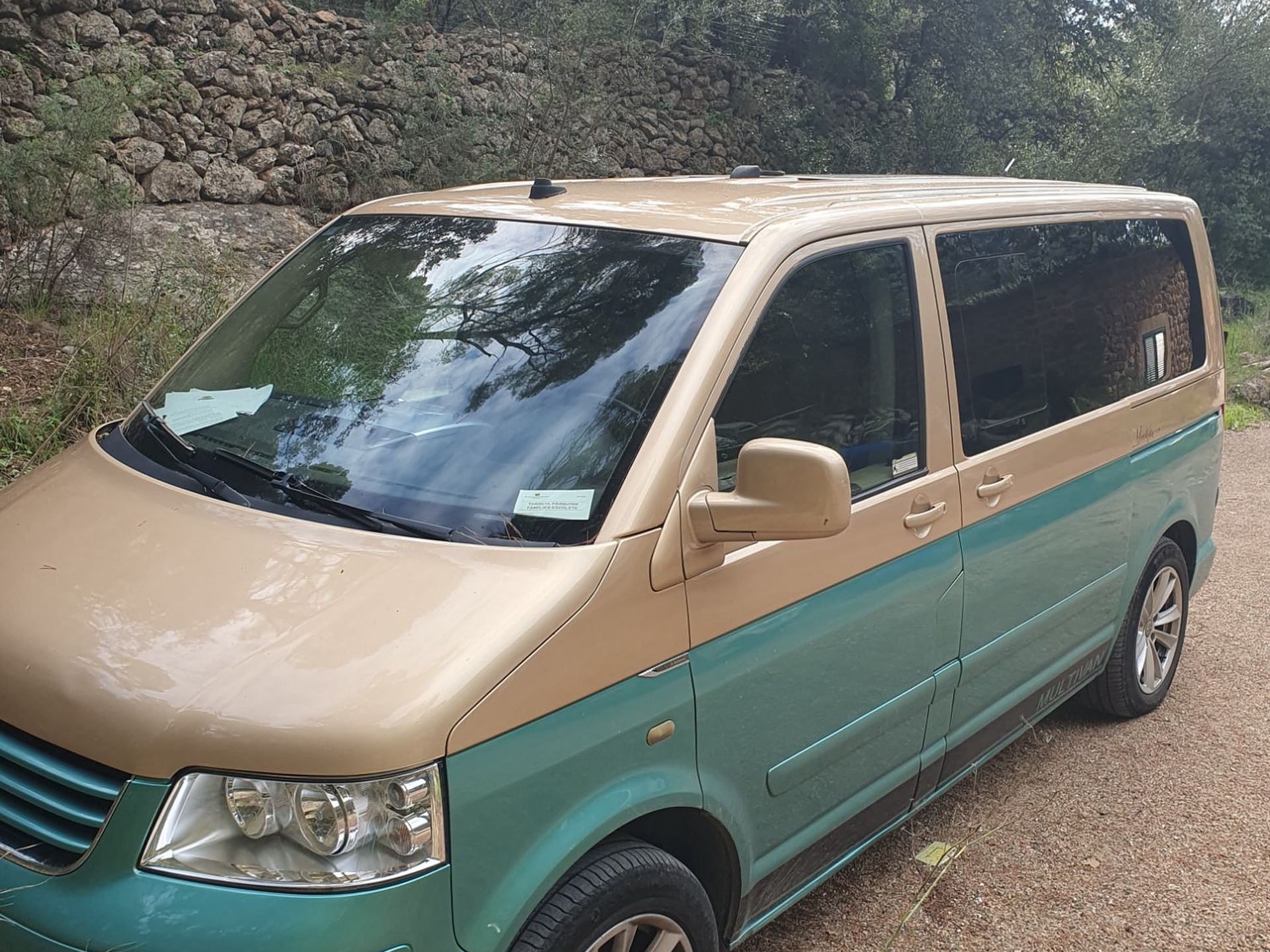 Imagen de VOLKSWAGEN Multivan