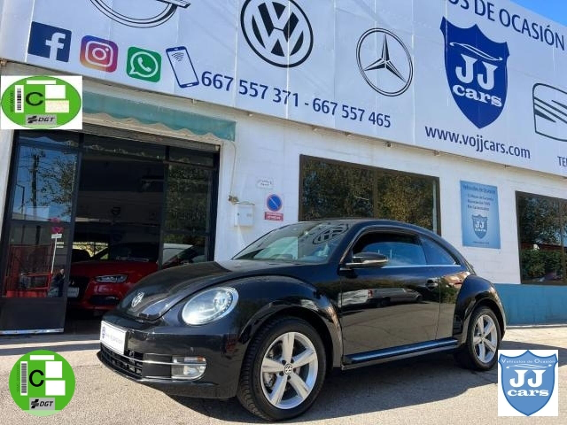 Imagen de VOLKSWAGEN Beetle