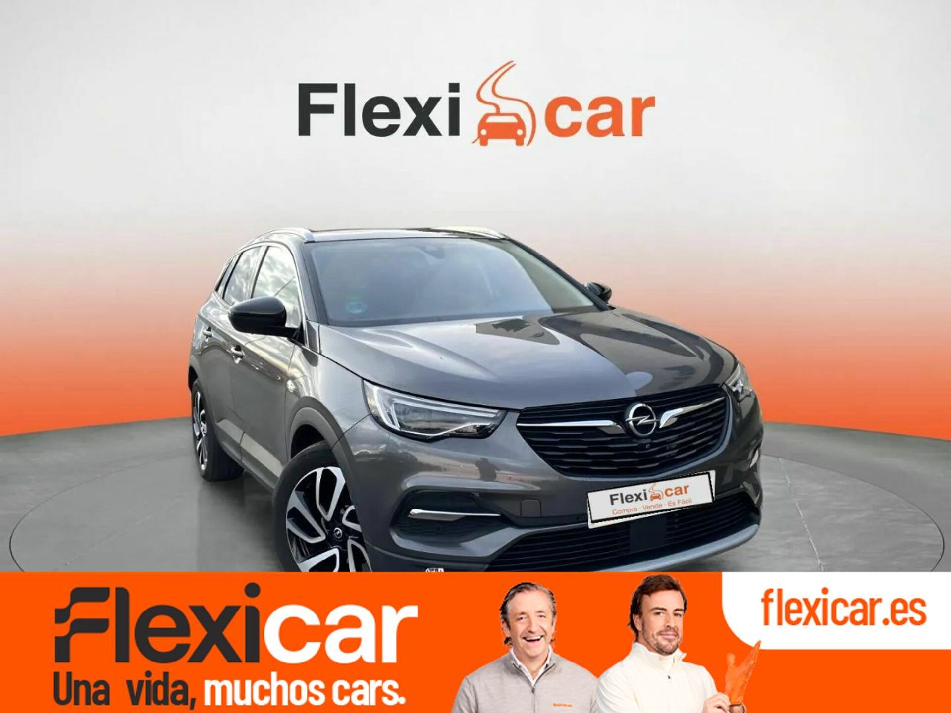 Imagen de OPEL Grandland X