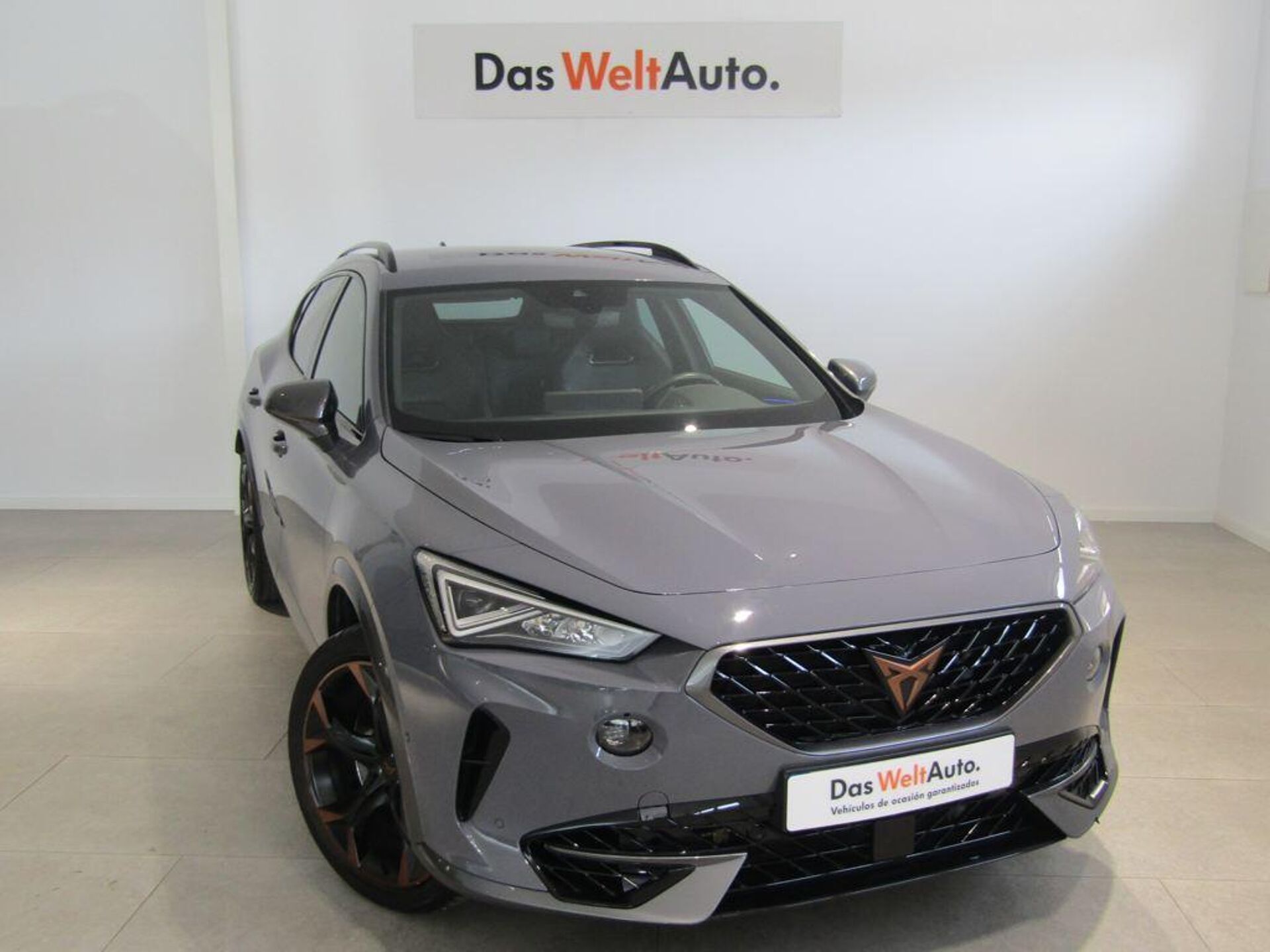 Imagen de CUPRA Formentor