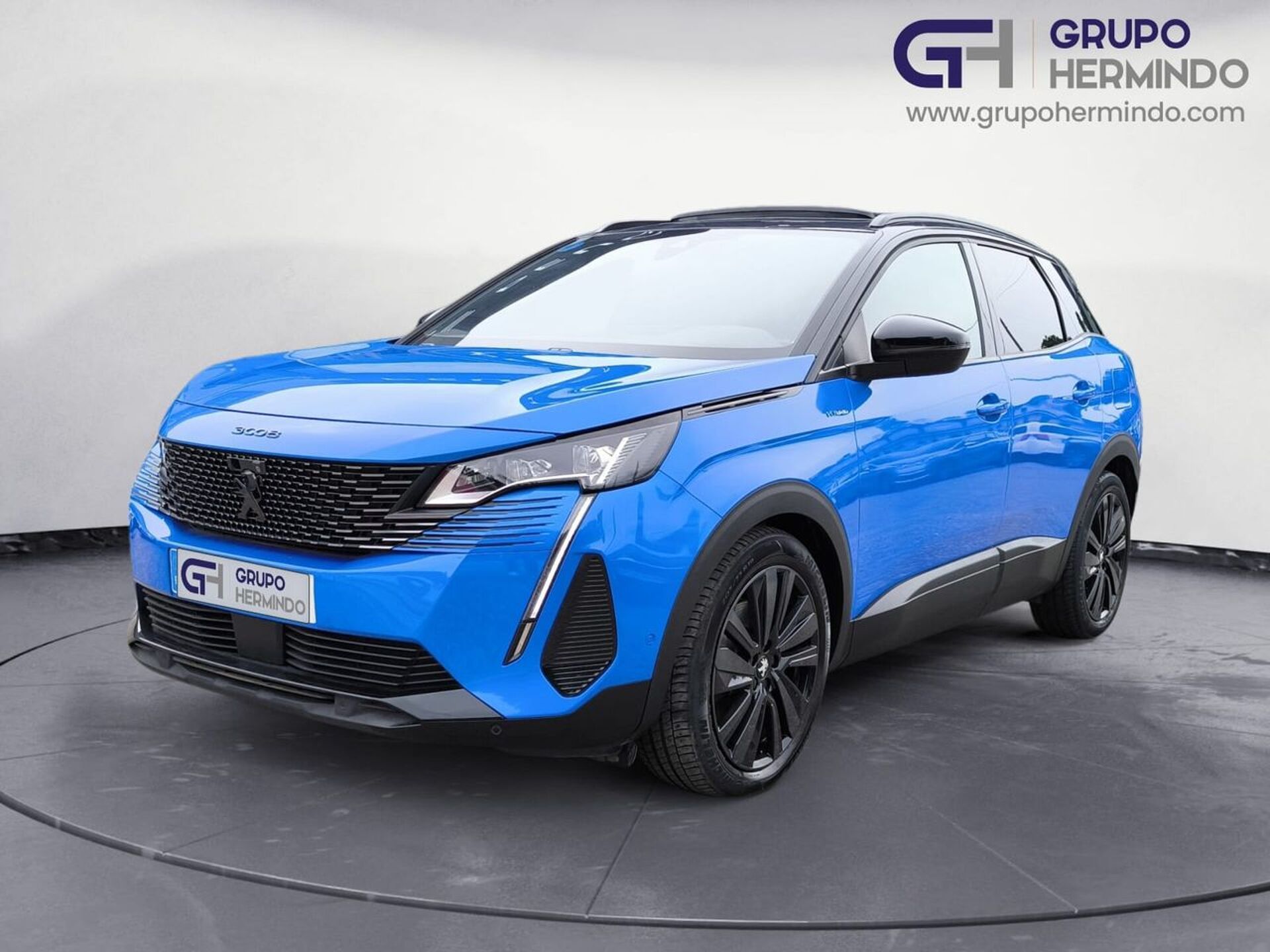 Imagen de PEUGEOT 3008