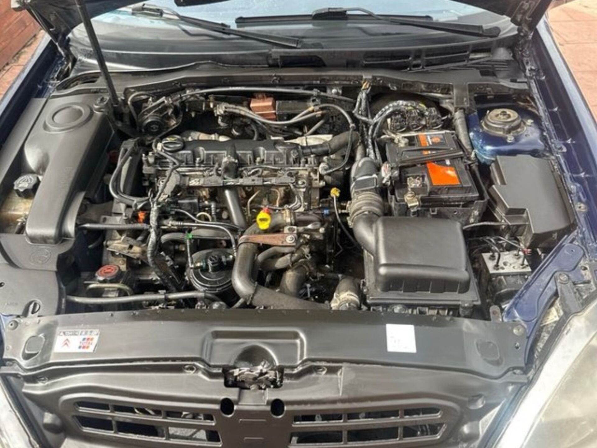 Imagen 3 de CITROEN Xsara