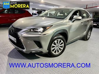 Imagen de LEXUS NX 300h Business 2WD