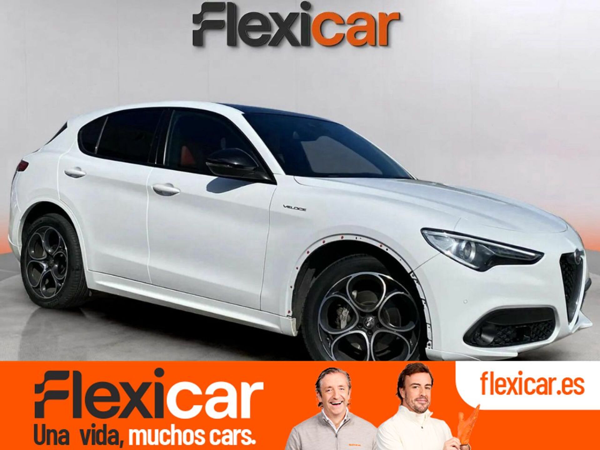 Imagen de ALFA ROMEO Stelvio