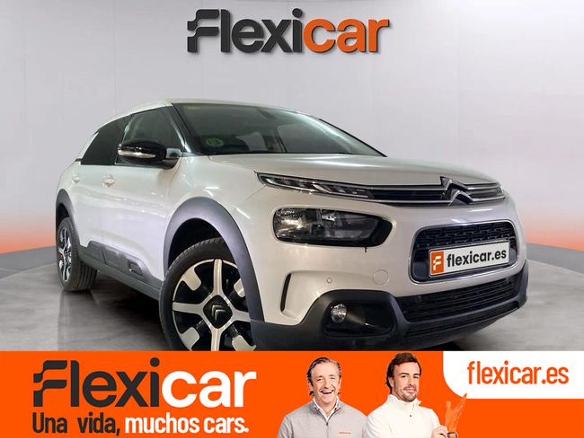Imagen de CITROEN C4 Cactus