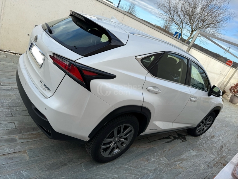 Foto del LEXUS NX 300h Executive 4WD + Navibox
