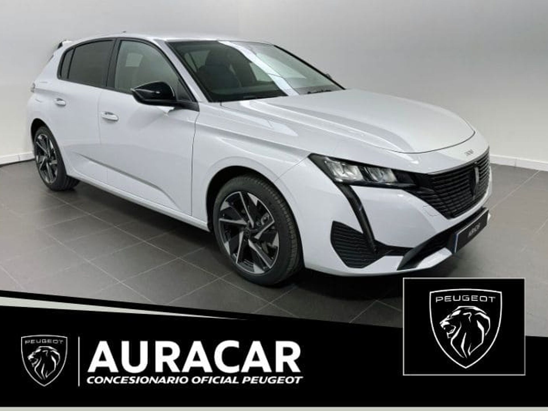 Imagen de PEUGEOT 308