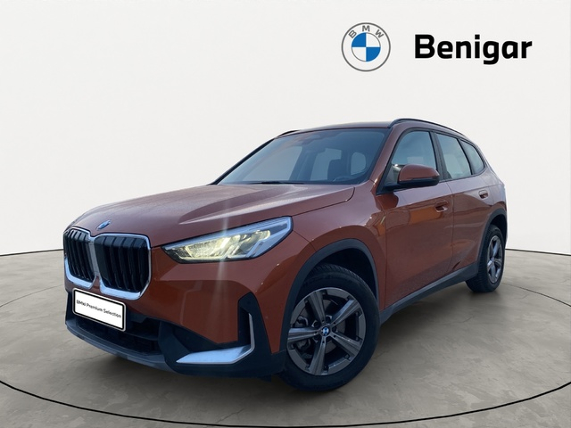 Imagen de BMW X1
