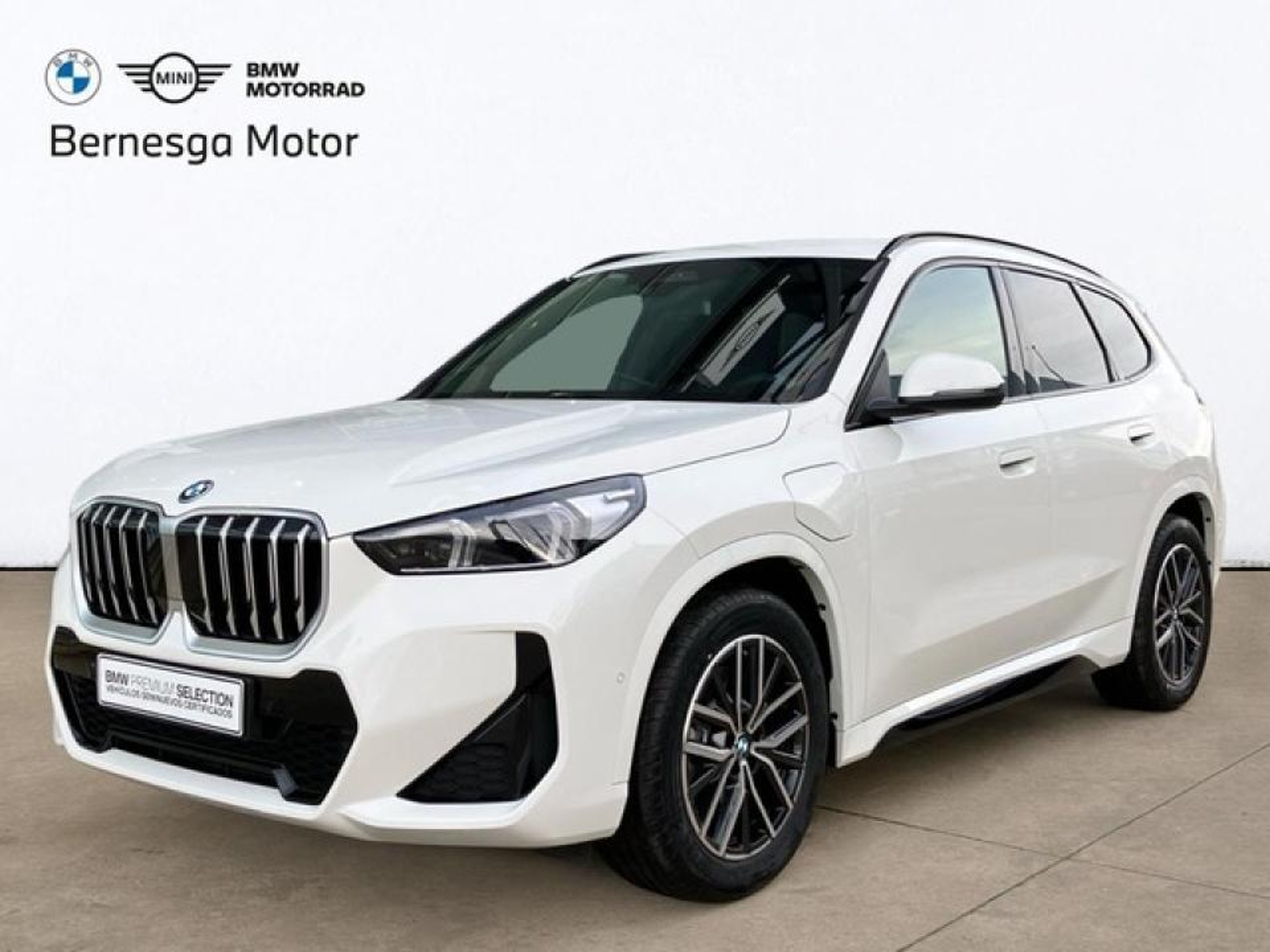 Imagen de BMW X1
