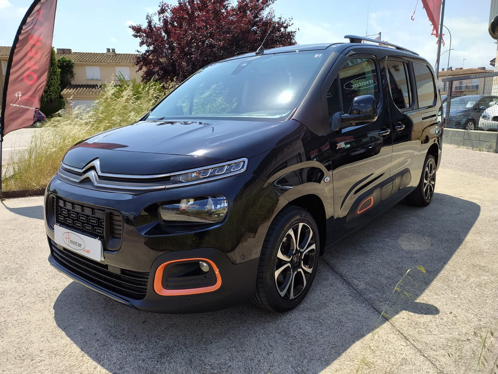 Imagen de CITROEN Berlingo
