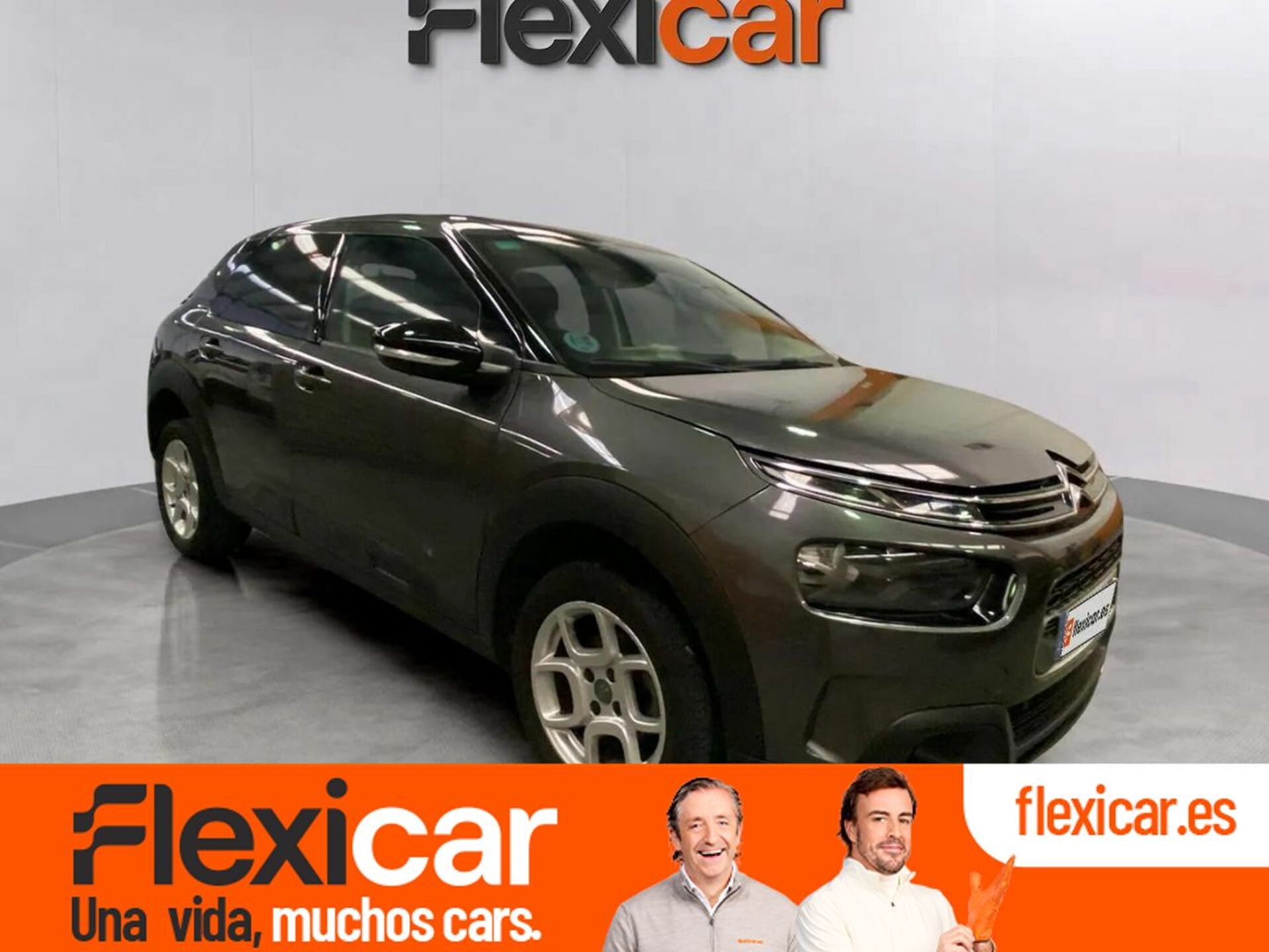 Imagen de CITROEN C4 Cactus