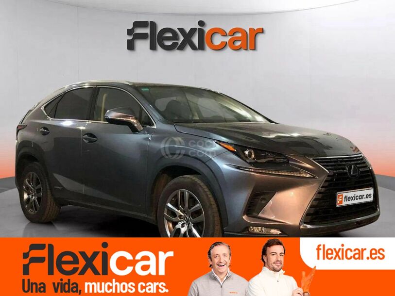 Foto del LEXUS NX 300h Executive Navigation 4WD