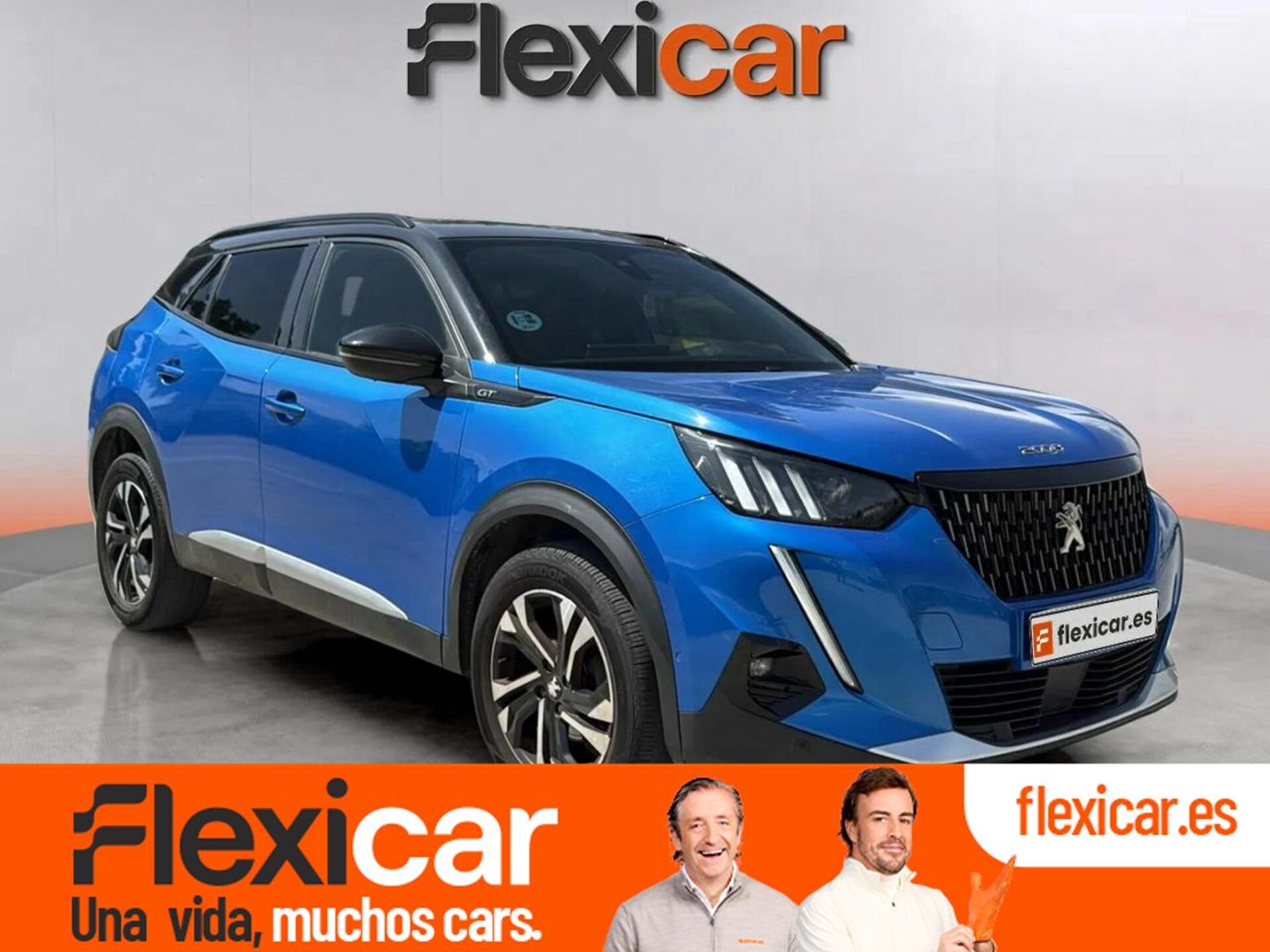 Imagen de PEUGEOT 2008