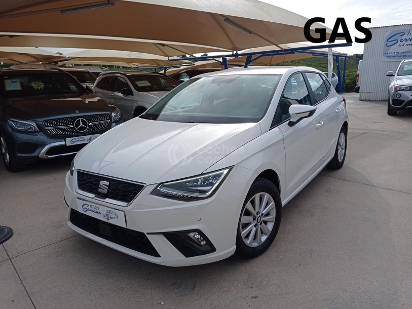 Foto del SEAT Ibiza 1.0 TGI S&S Style 90
