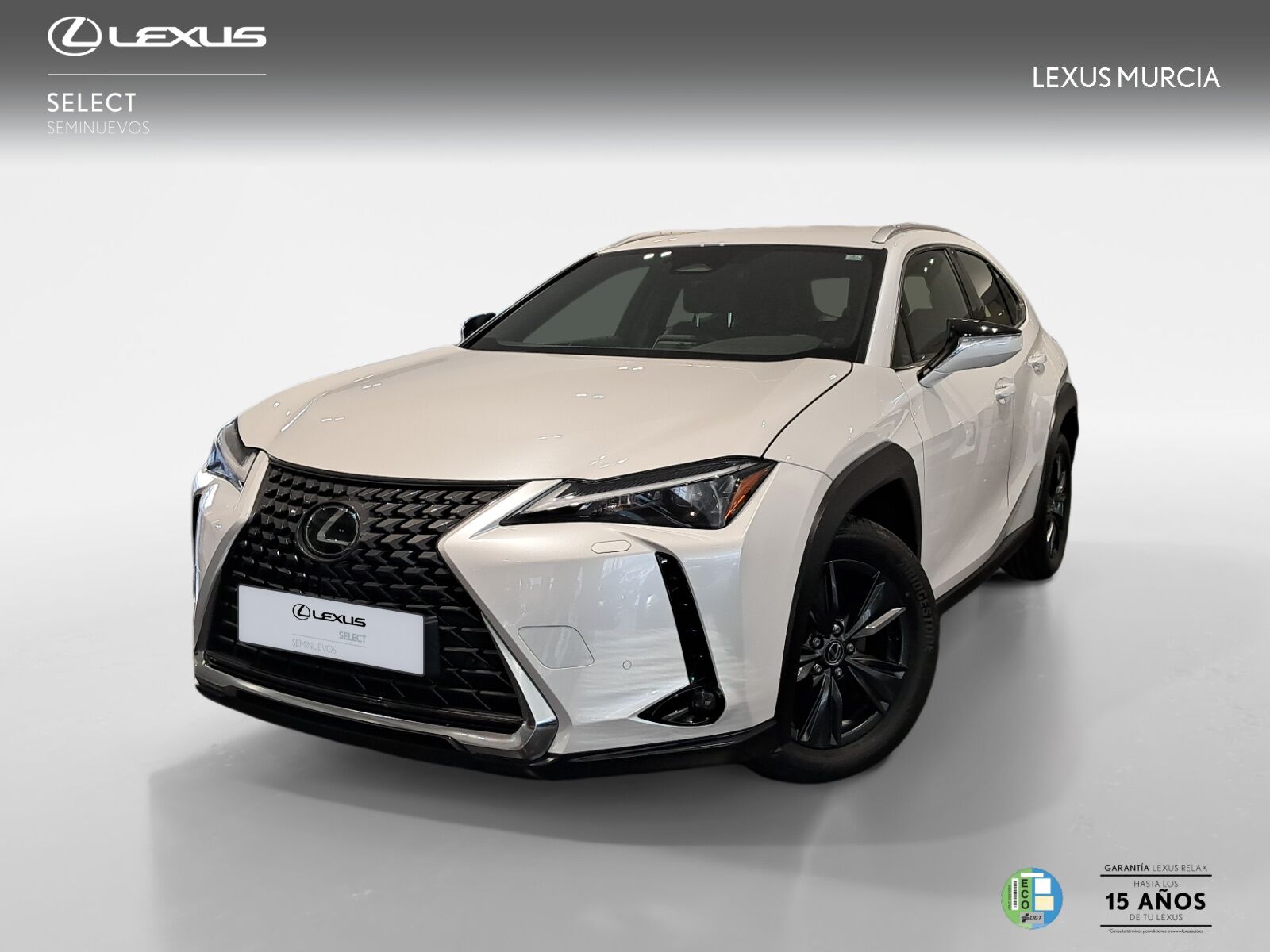 LEXUS UX (300h UX+ 4x2) en Murcia