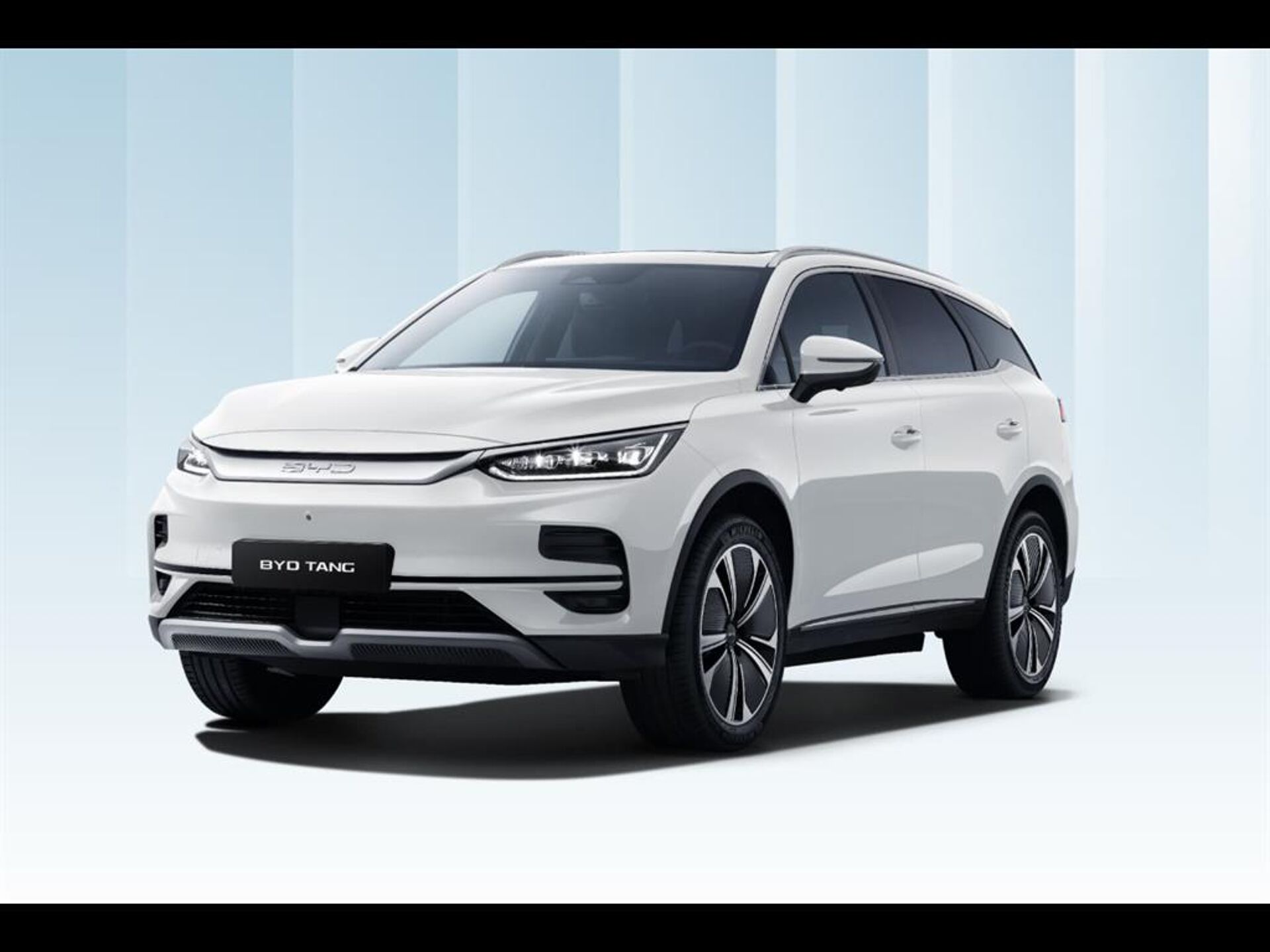 Imagen de BYD Tang