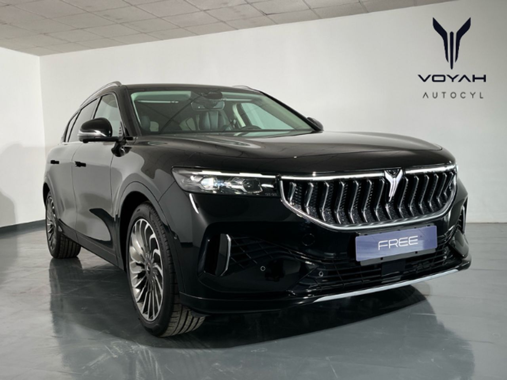 Imagen de VOYAH Free