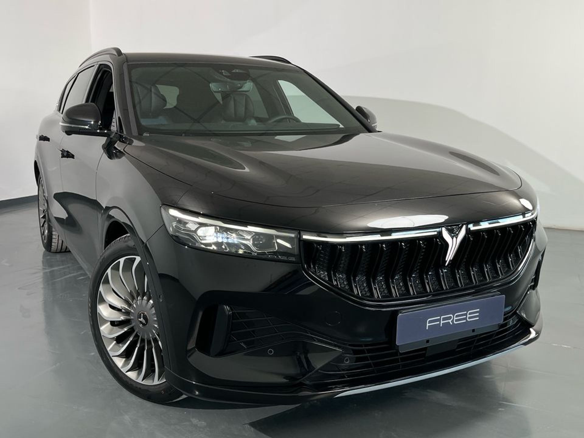 Imagen de VOYAH Free