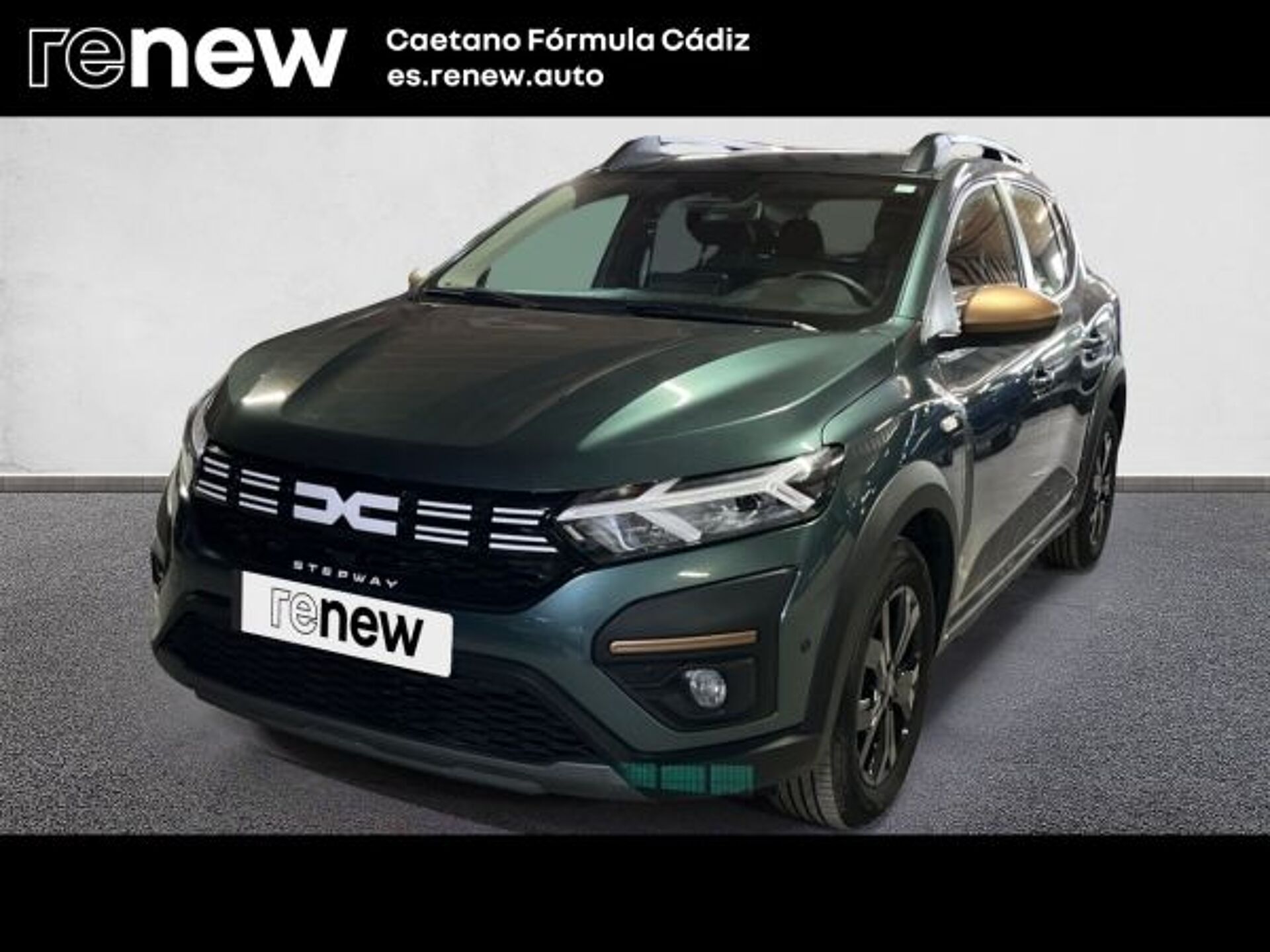 Imagen 1 de DACIA Sandero