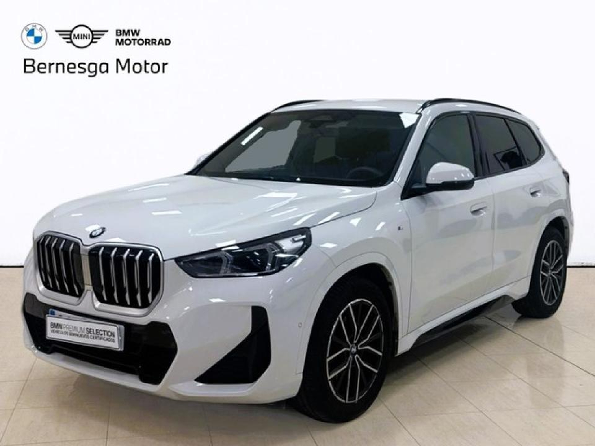Imagen de BMW X1