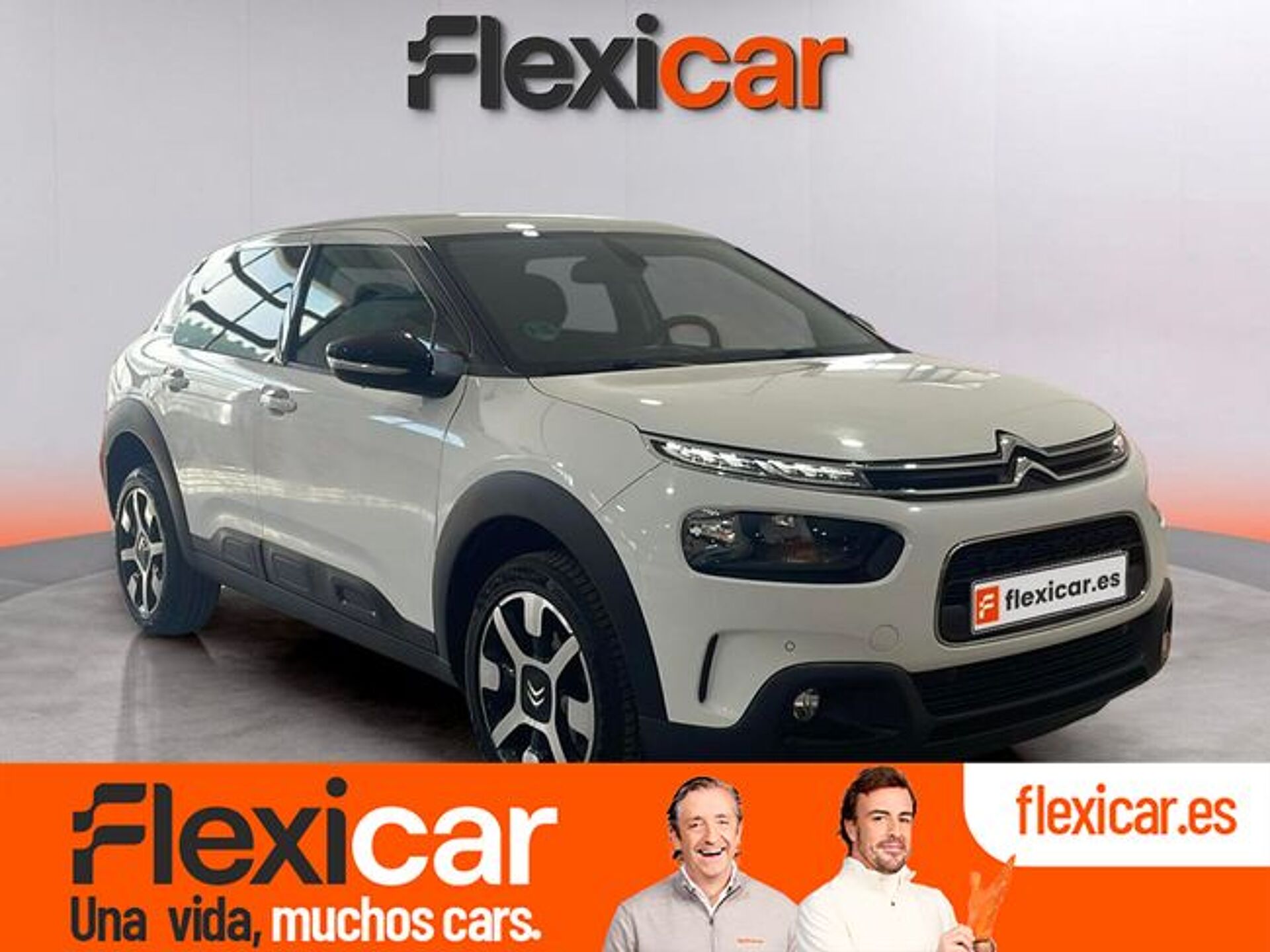 Imagen de CITROEN C4 Cactus
