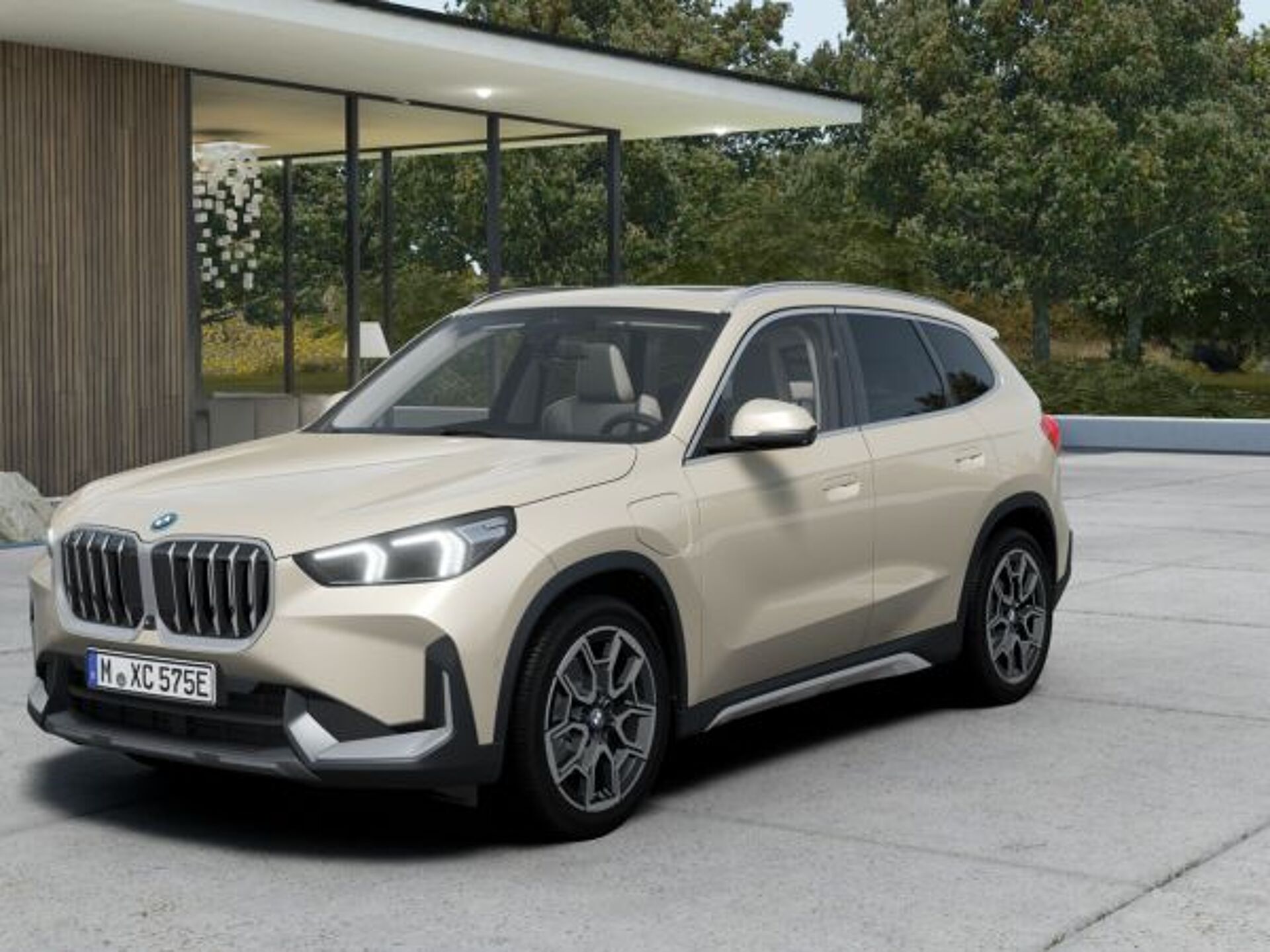Imagen 1 de BMW X1
