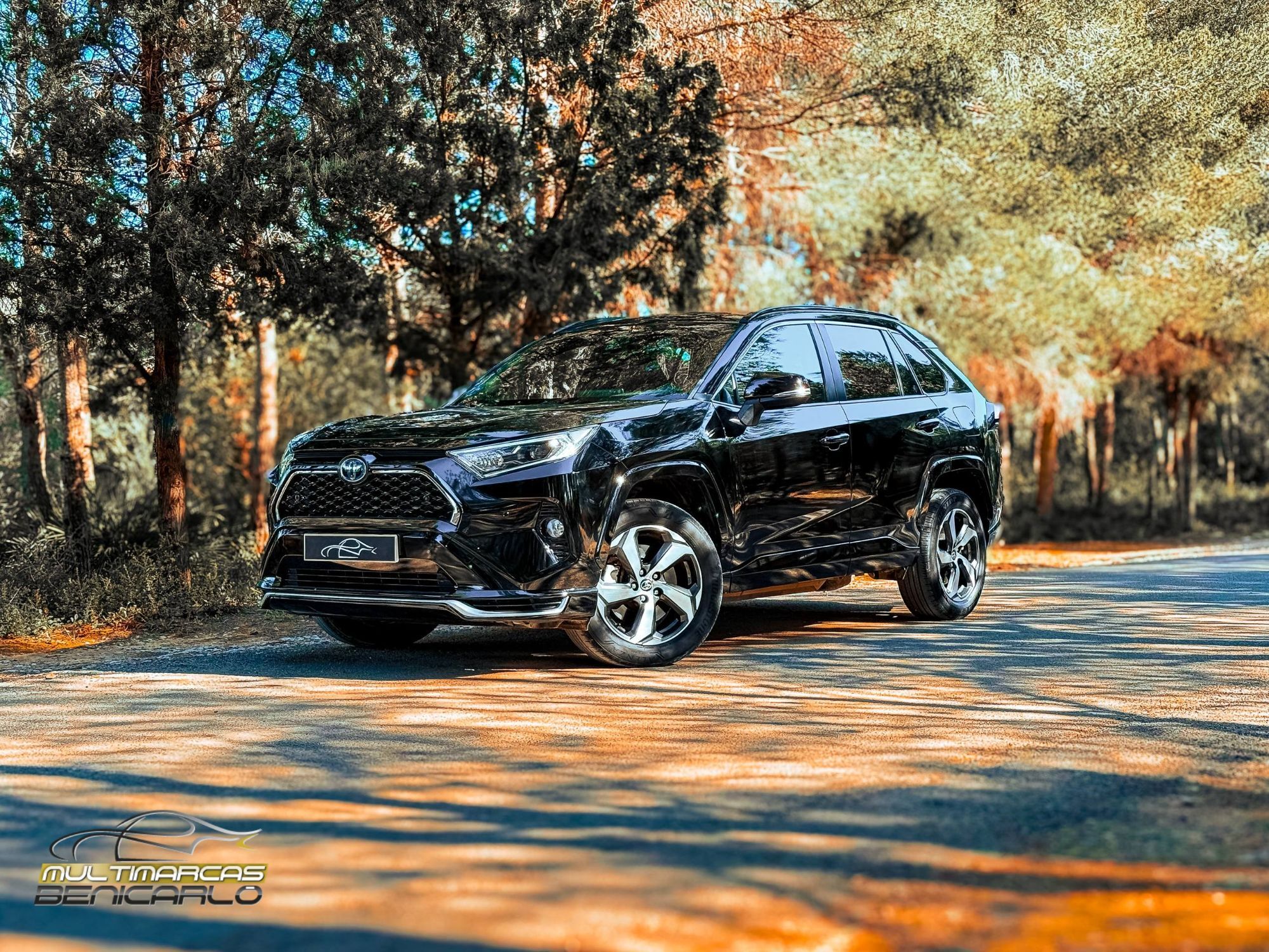 Foto del TOYOTA RAV-4 2.5 Plug-in hybrid  4WD Advance