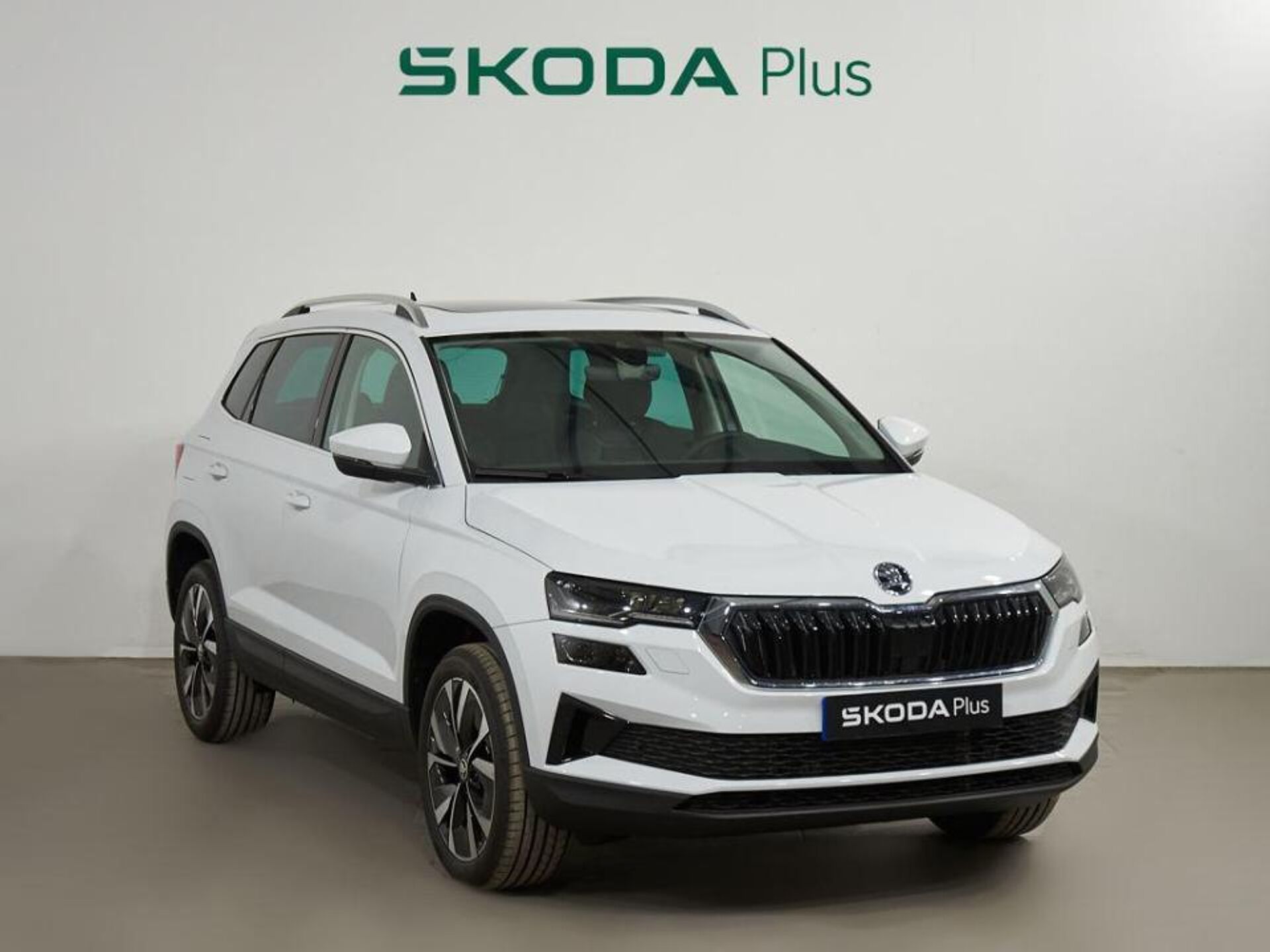 Imagen de SKODA Karoq
