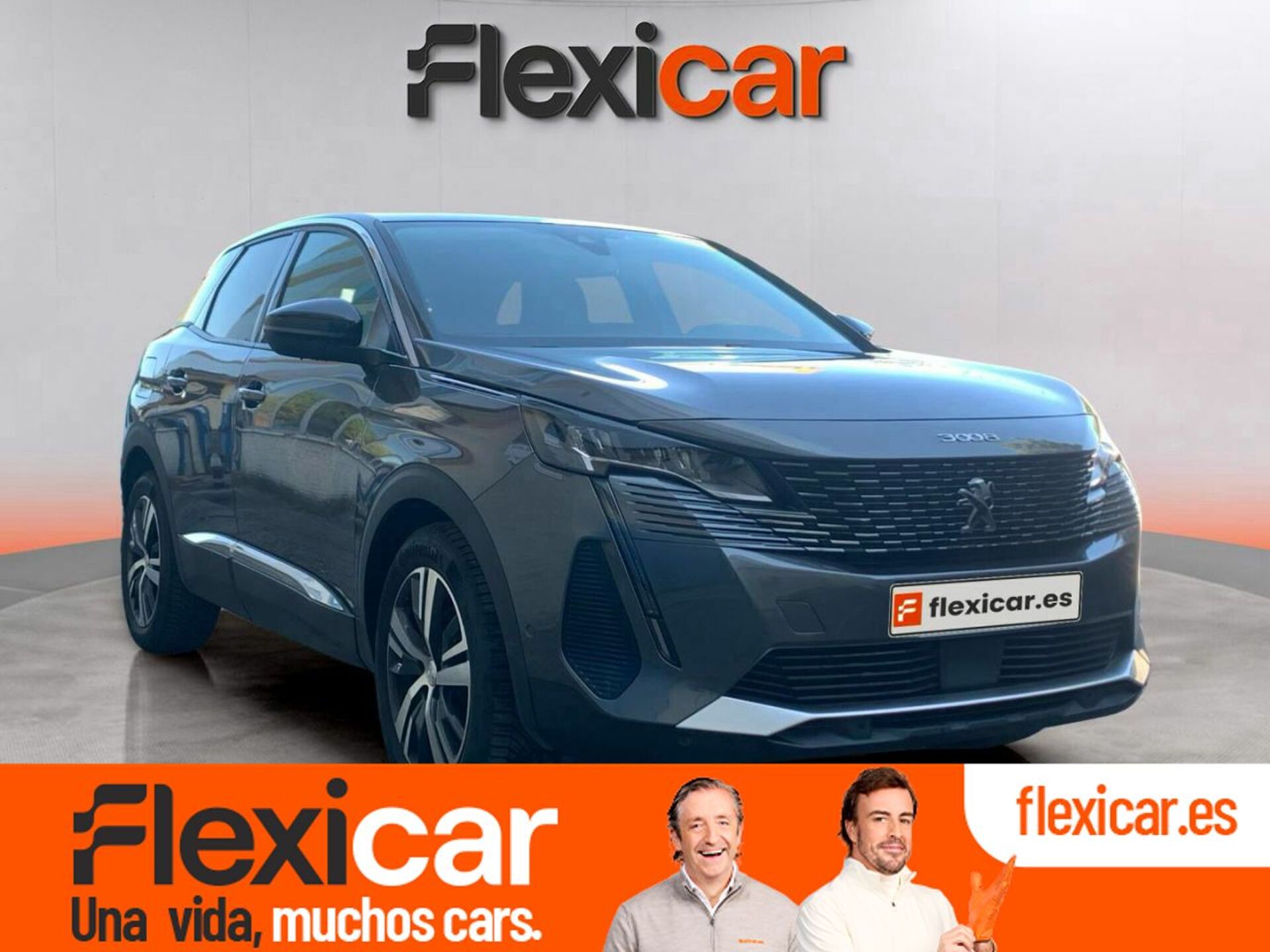 Imagen de PEUGEOT 3008