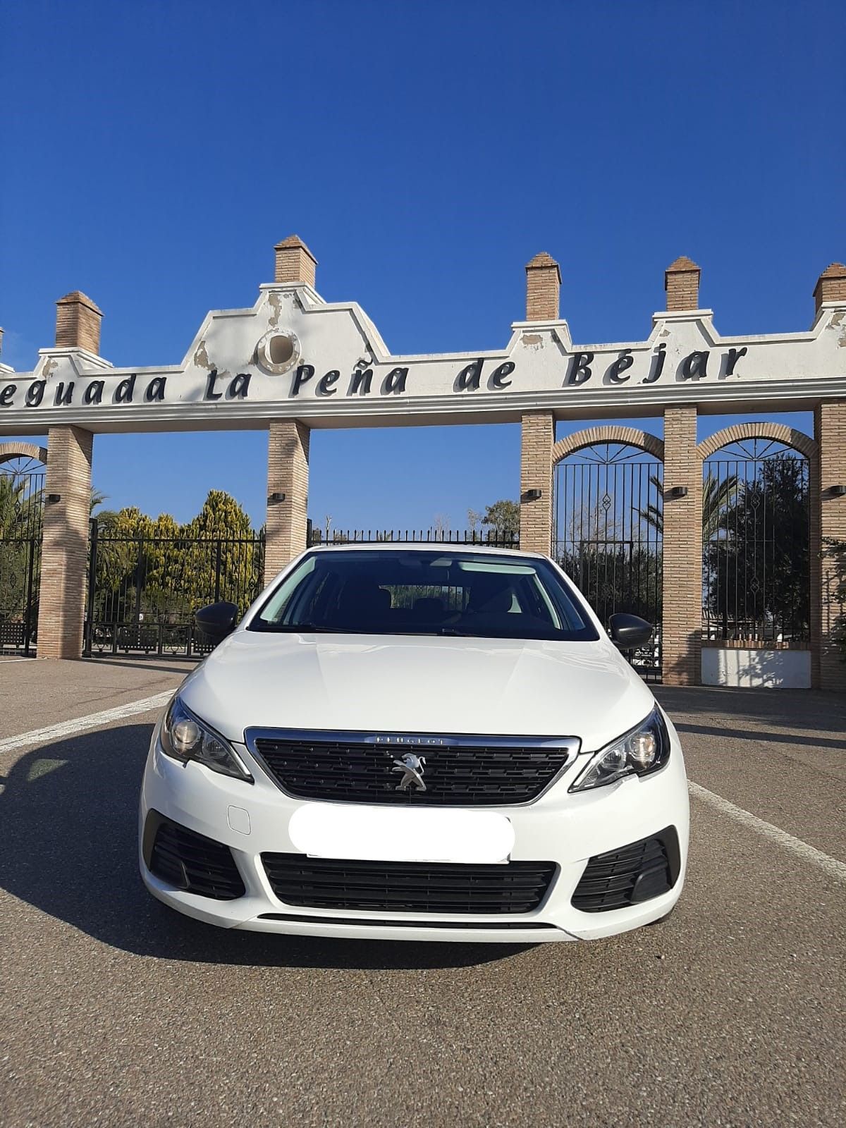 Foto del PEUGEOT 308 SW 1.5BlueHDi Access 100