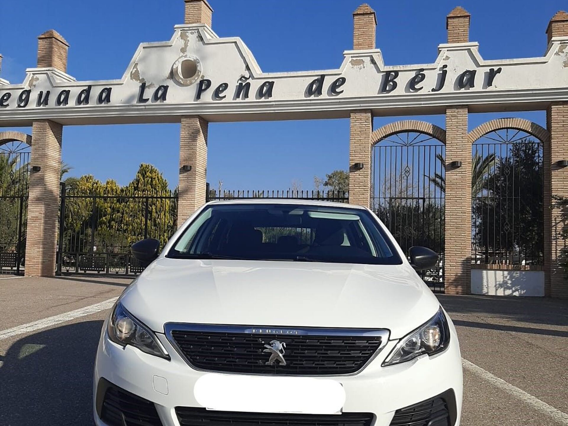 Imagen 3 de PEUGEOT 308
