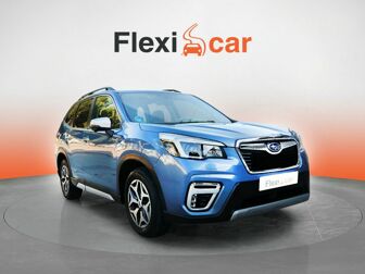 Imagen de SUBARU Forester 2.0i Hybrid Executive Plus CVT