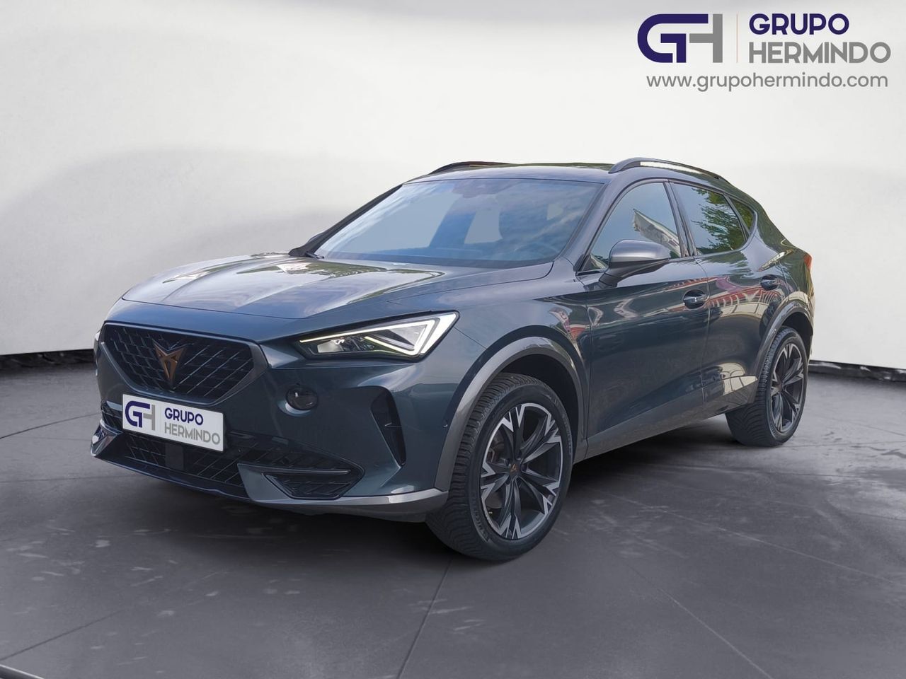 CUPRA Formentor (TSI 150 CV DSG + PACK TECHO) en Pontevedra