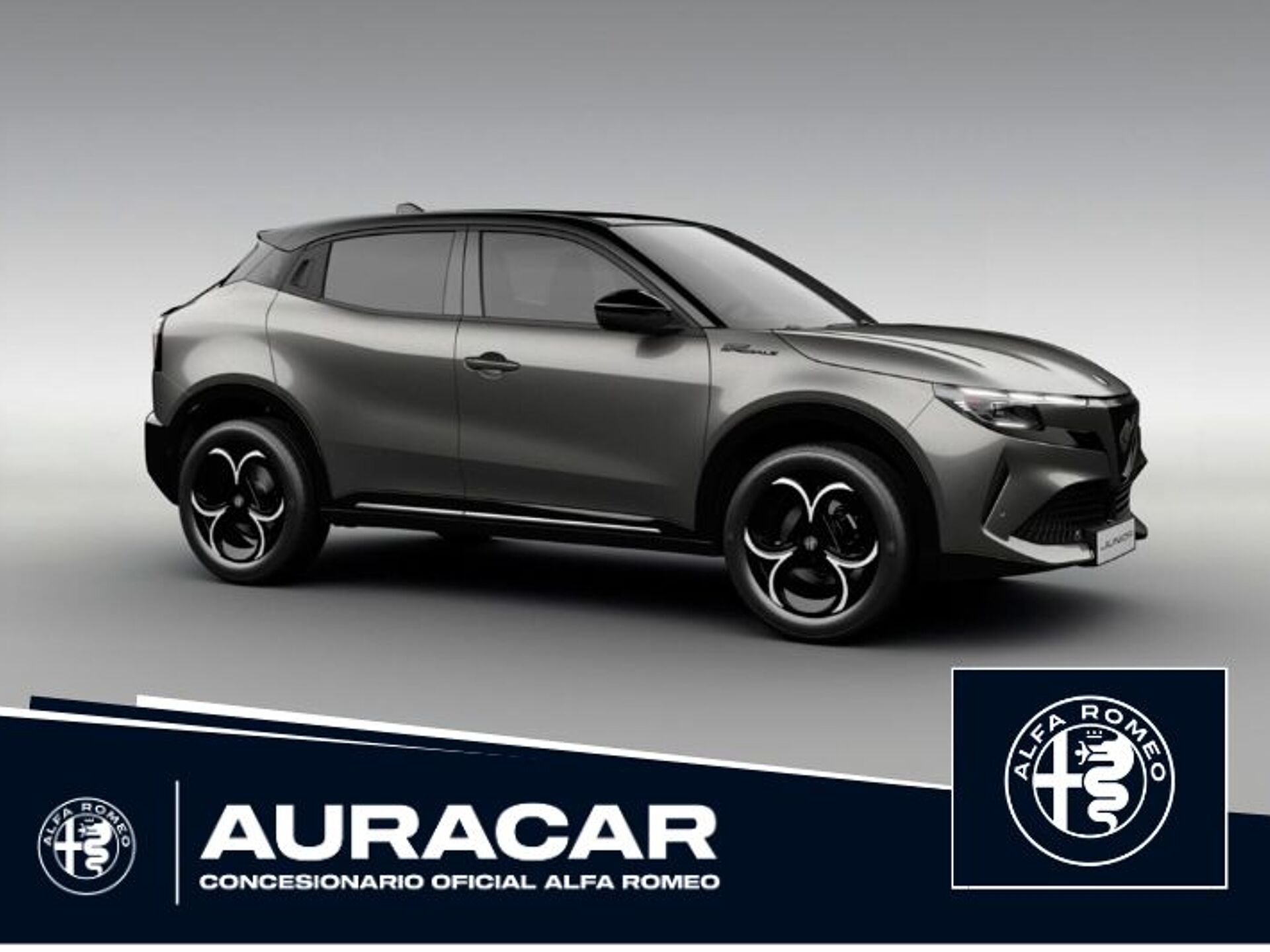 Imagen 1 de ALFA ROMEO Junior