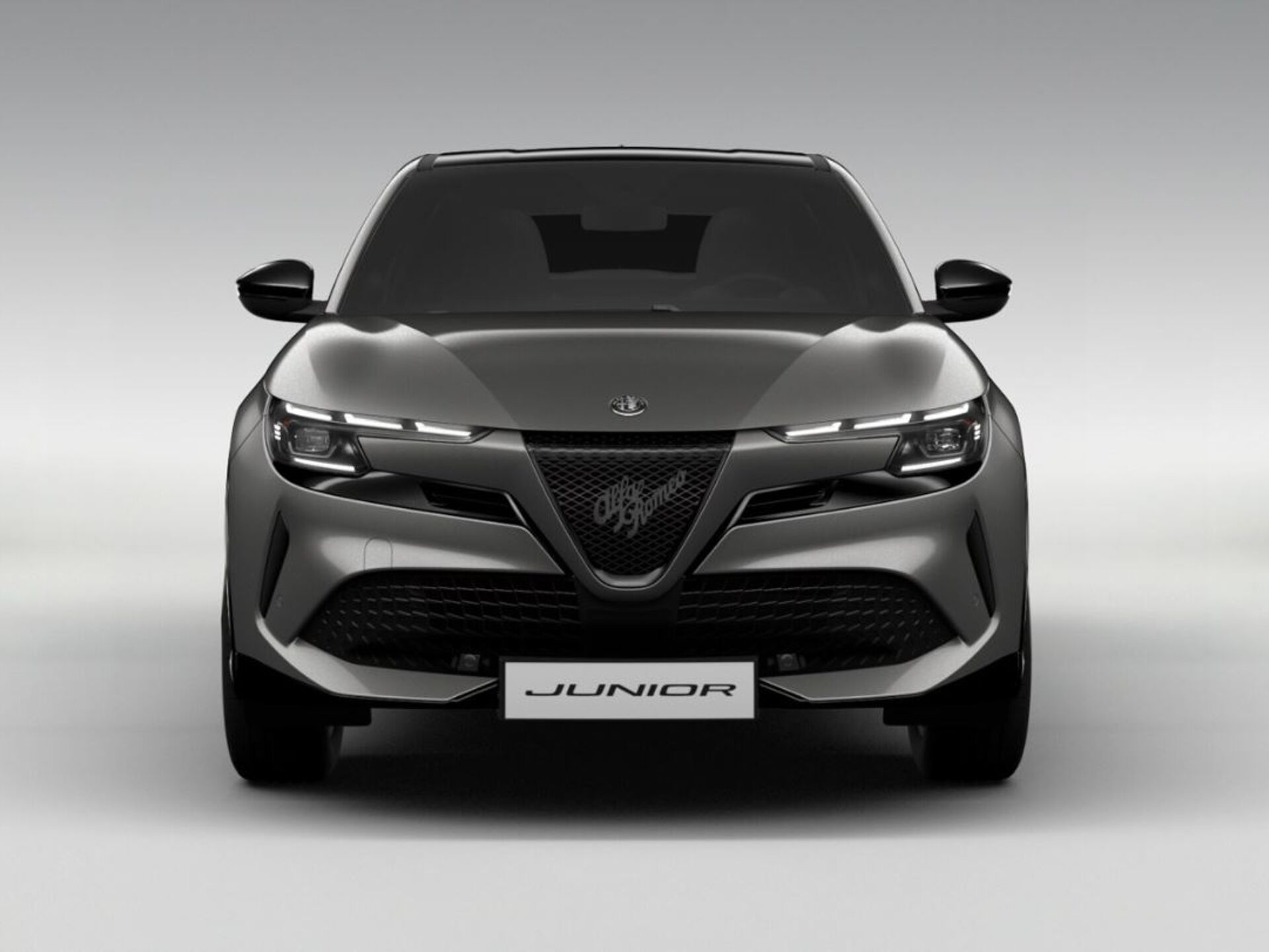 Imagen 2 de ALFA ROMEO Junior