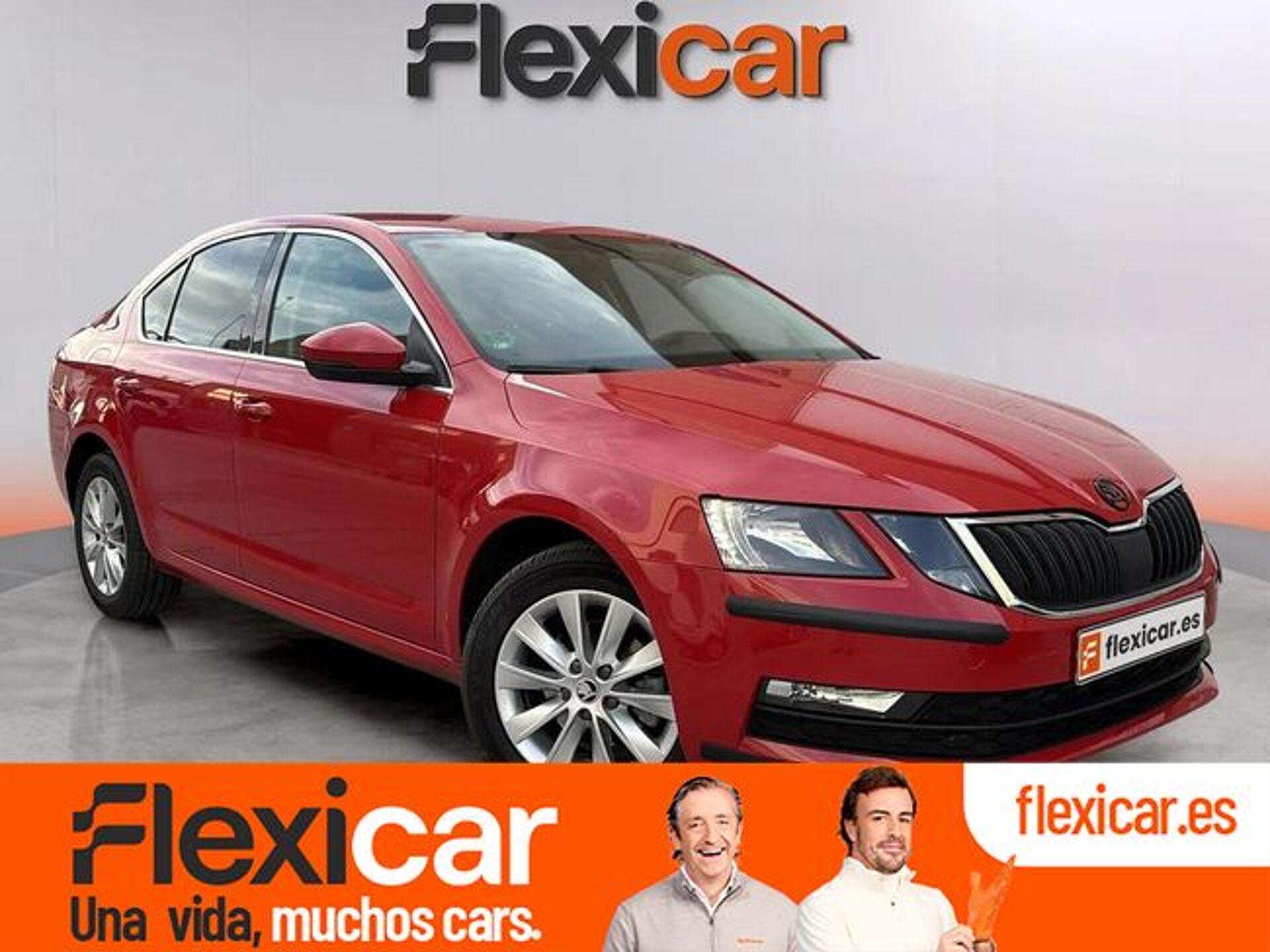 Imagen 1 de SKODA Octavia