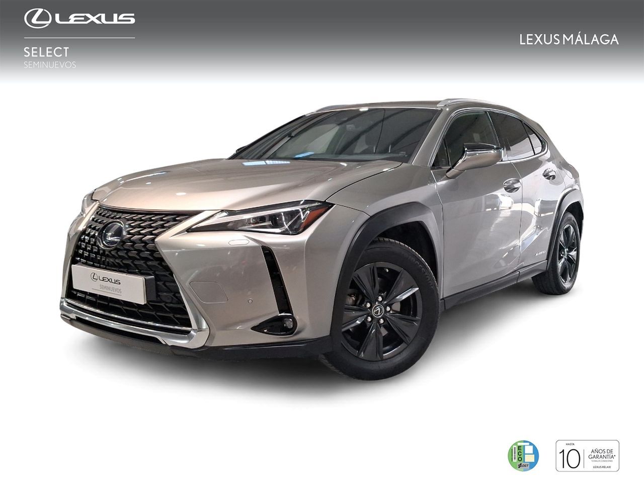 LEXUS UX (2.0 250h Business) en Málaga