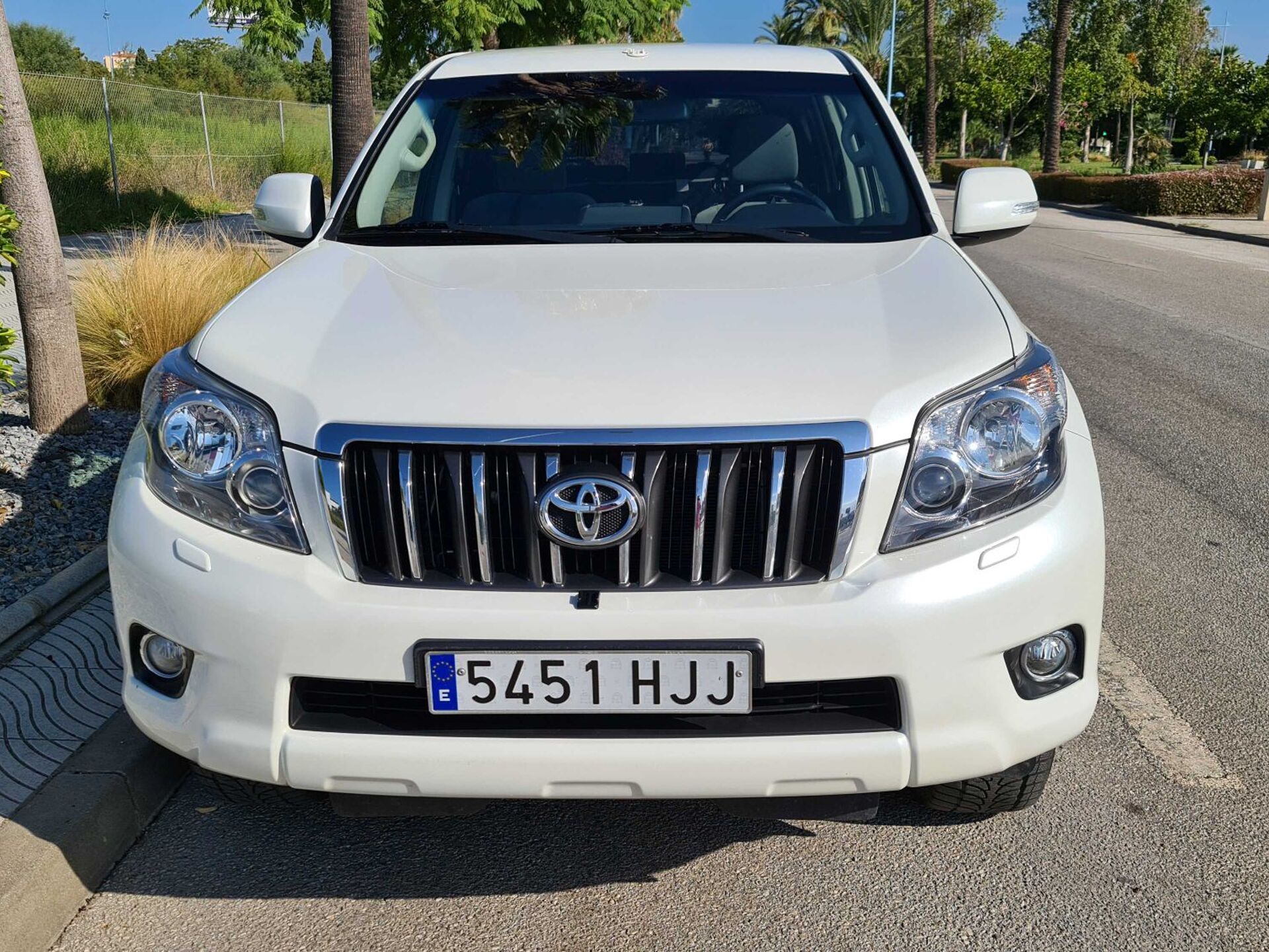 Imagen 3 de TOYOTA Land Cruiser