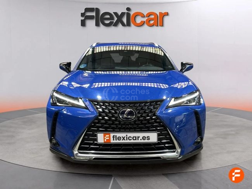 Foto del LEXUS UX 250h Business 4WD