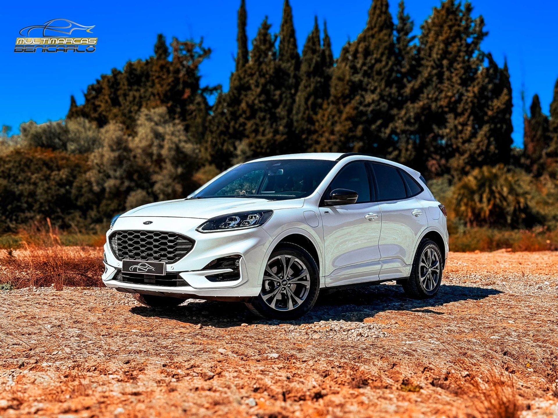 Imagen de FORD Kuga