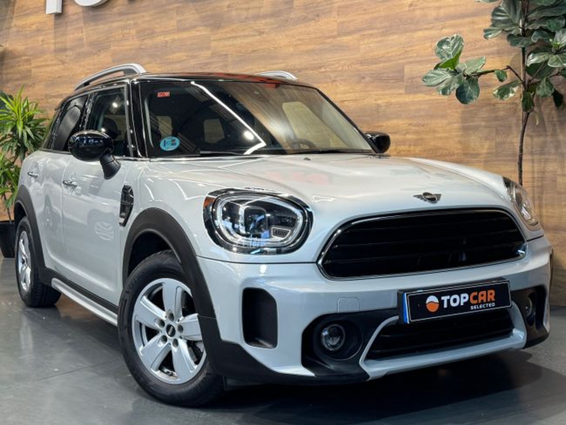 Imagen de MINI Mini Countryman