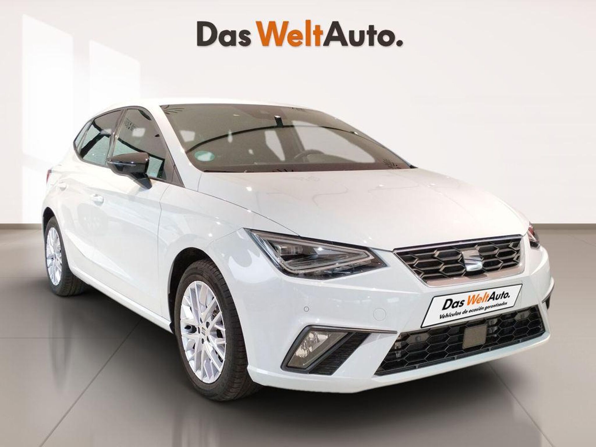 Imagen 1 de SEAT Ibiza