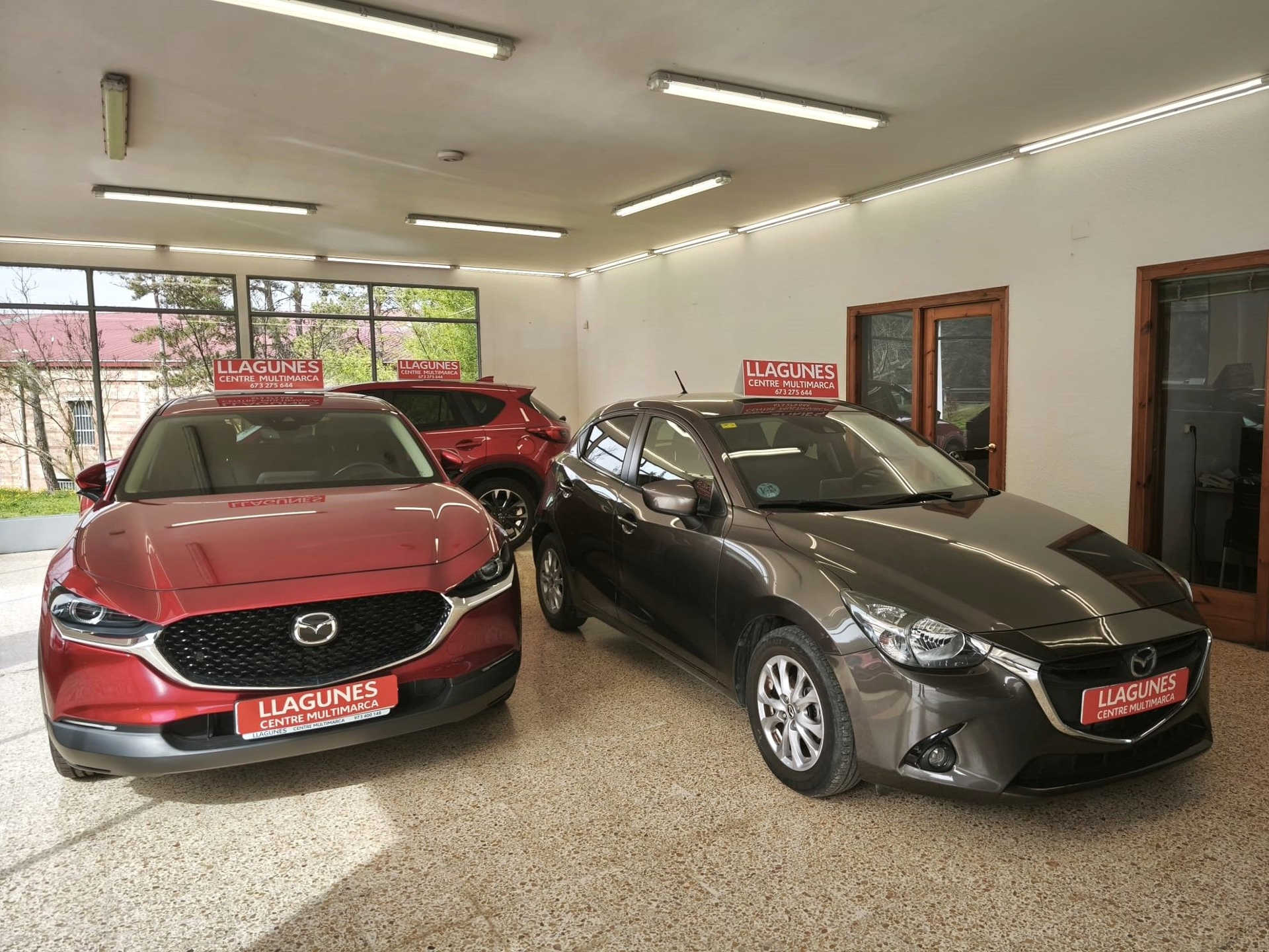 Imagen de MAZDA Mazda2