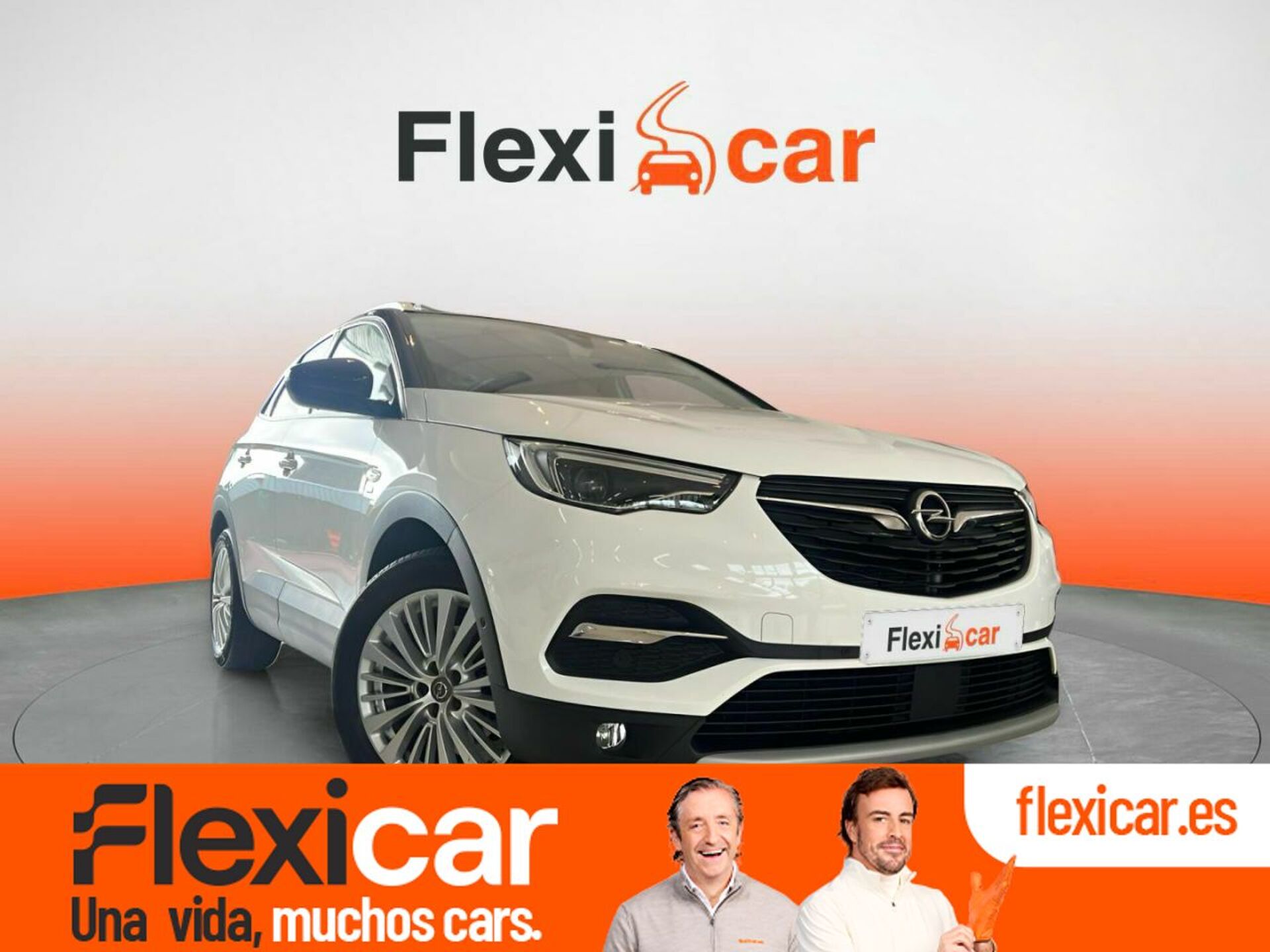 Imagen de OPEL Grandland X