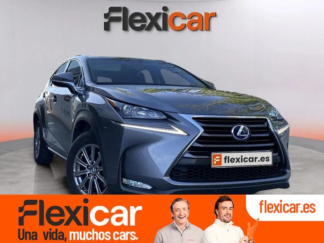 LEXUS NX (2.5 300h Business 2WD) en Granada